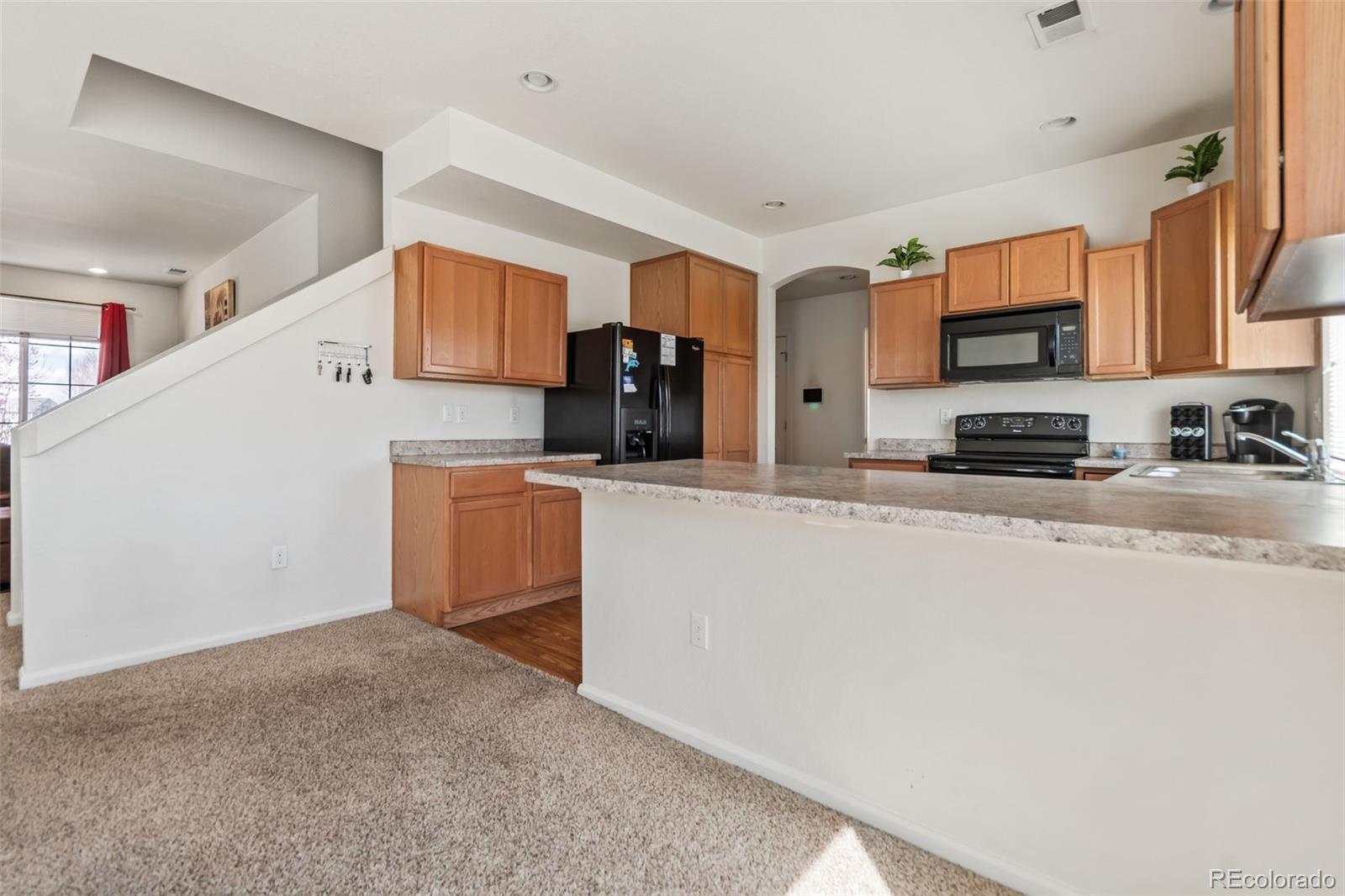 MLS Image #13 for 19098 e 47th drive,denver, Colorado