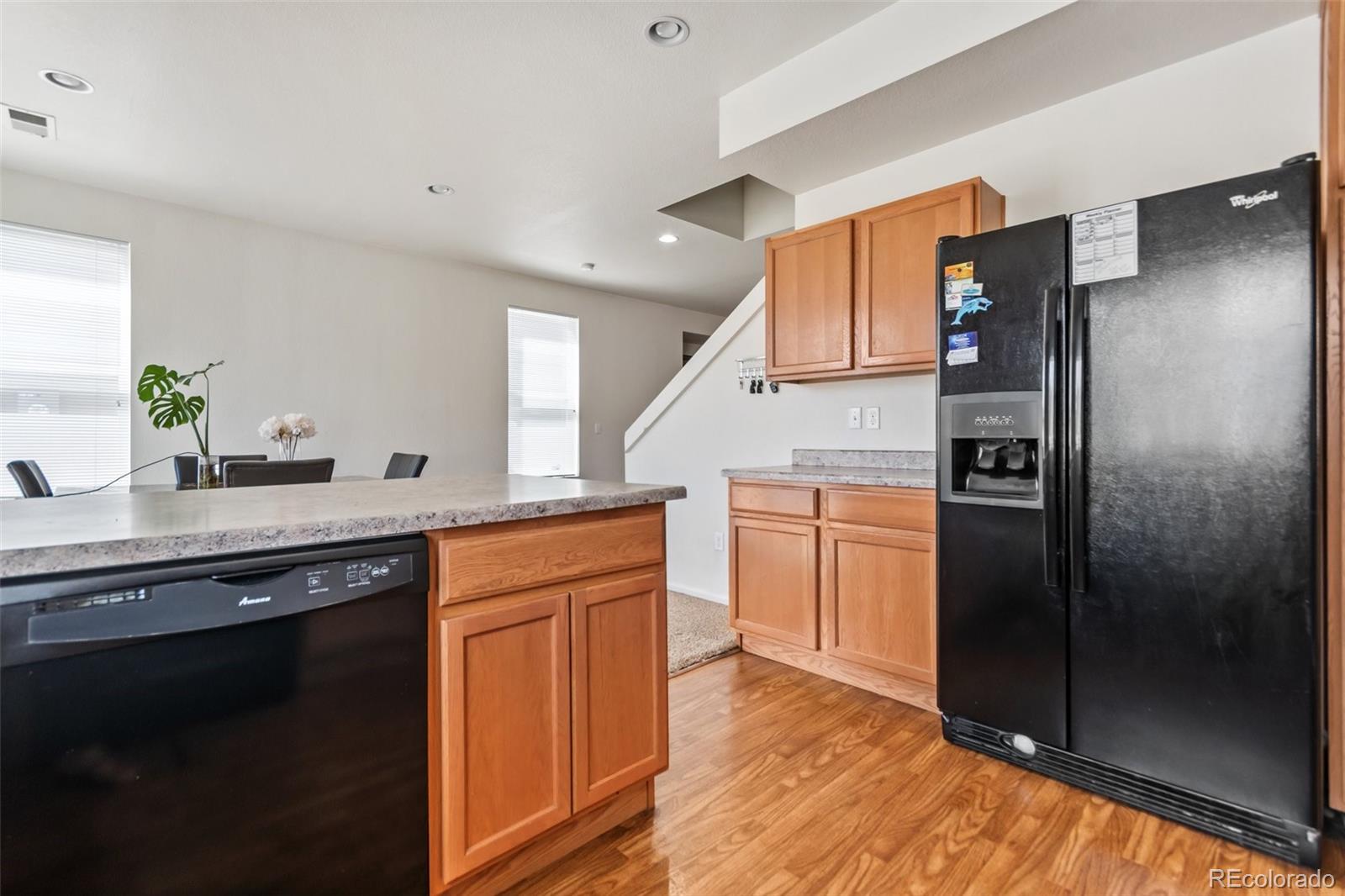 MLS Image #17 for 19098 e 47th drive,denver, Colorado