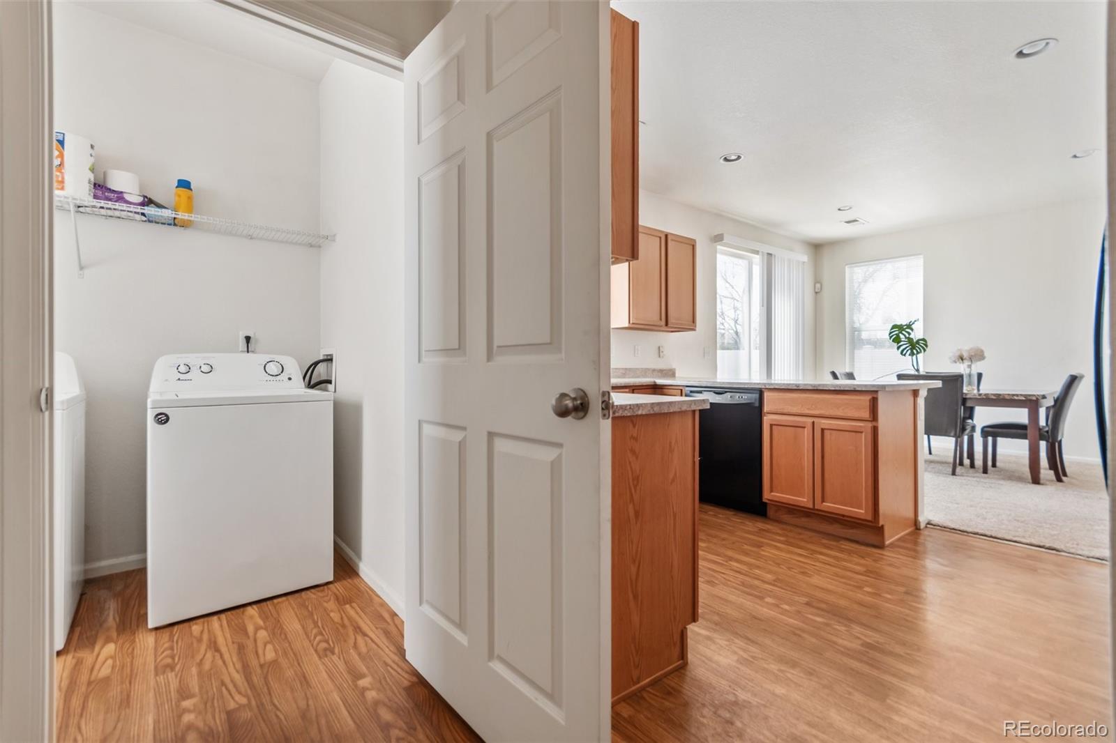 MLS Image #21 for 19098 e 47th drive,denver, Colorado