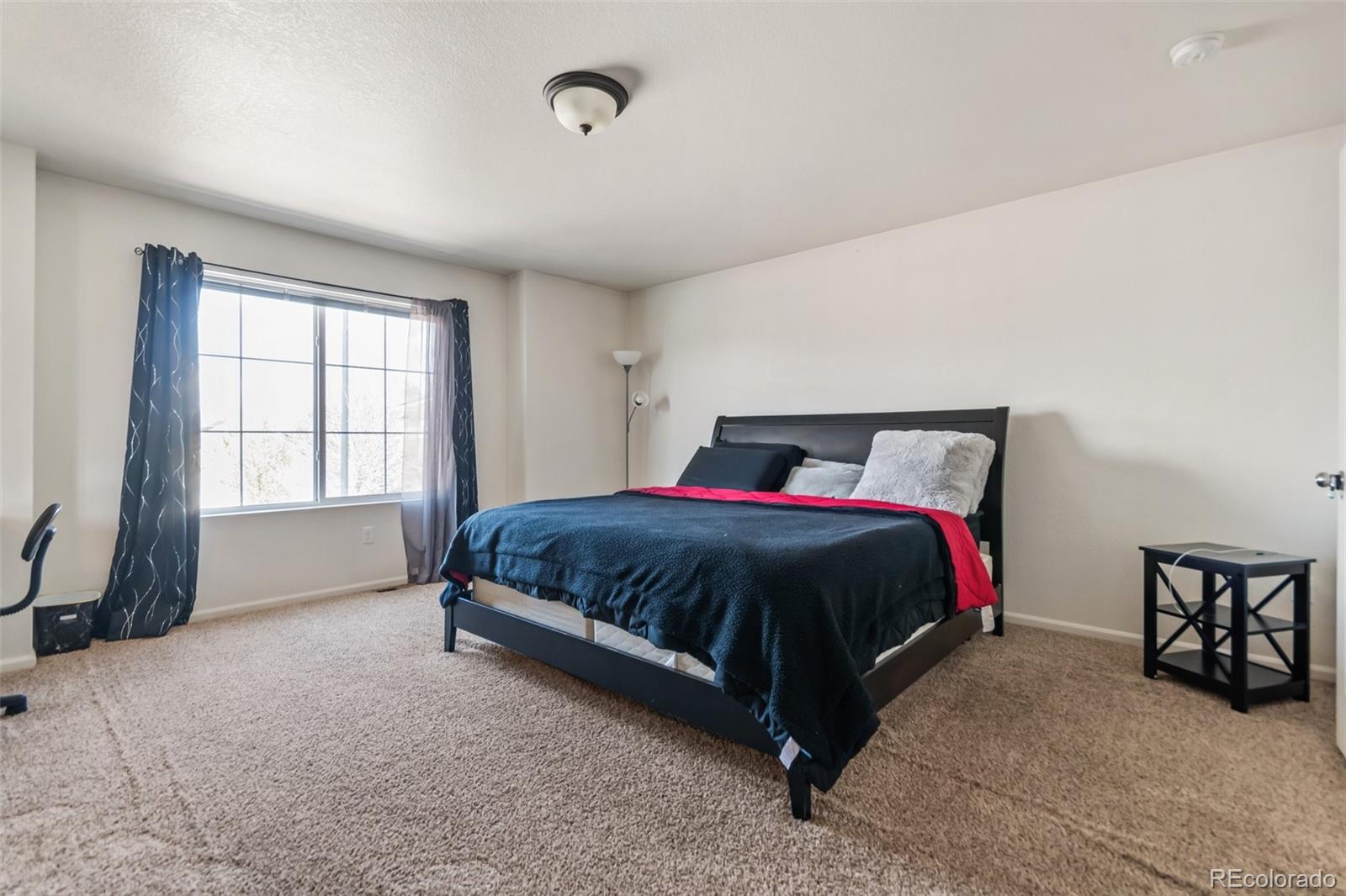 MLS Image #25 for 19098 e 47th drive,denver, Colorado