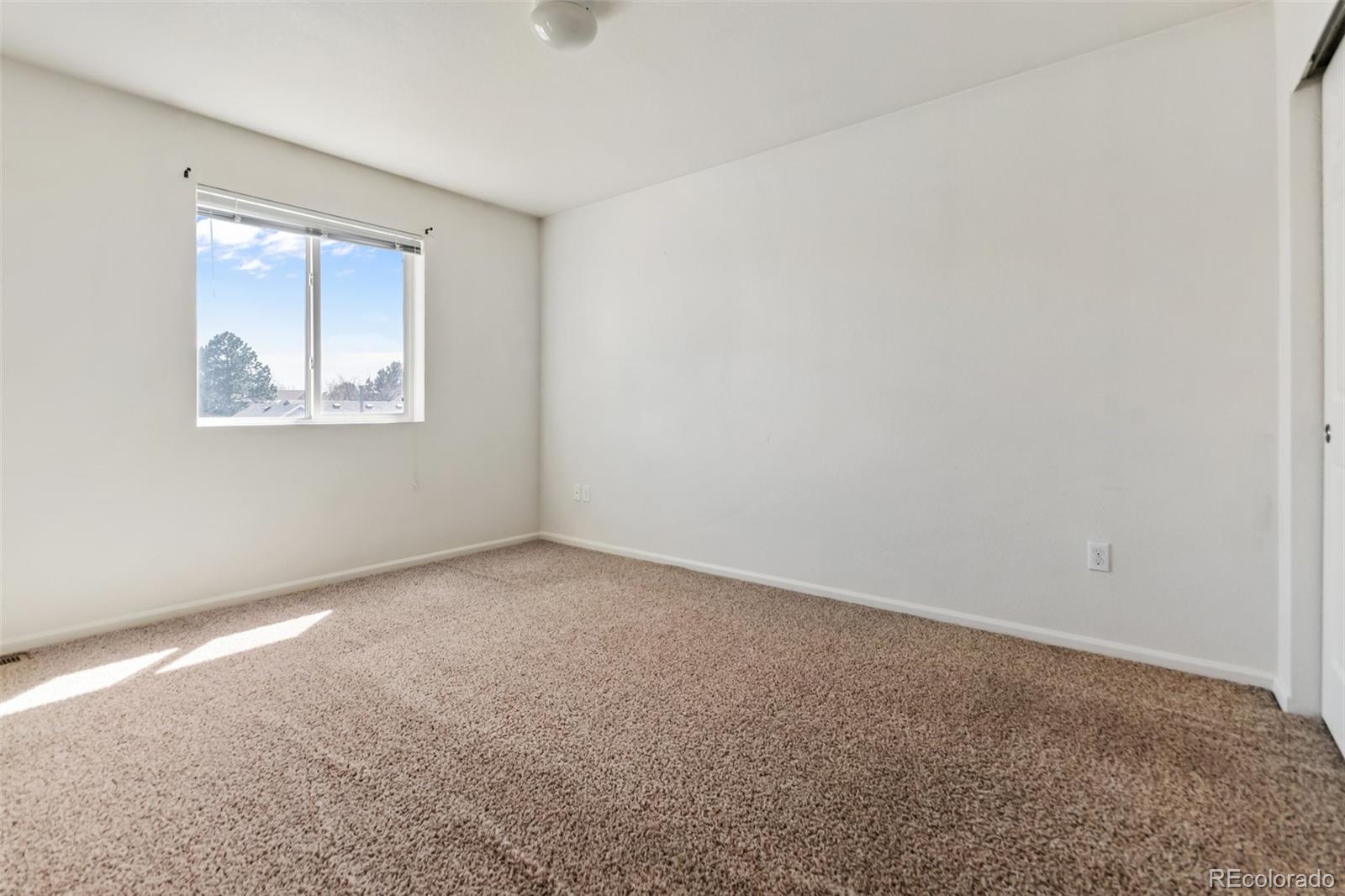 MLS Image #33 for 19098 e 47th drive,denver, Colorado