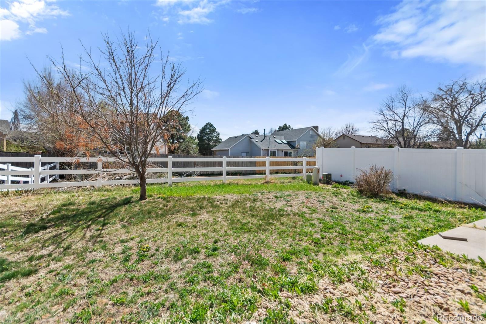 MLS Image #38 for 19098 e 47th drive,denver, Colorado