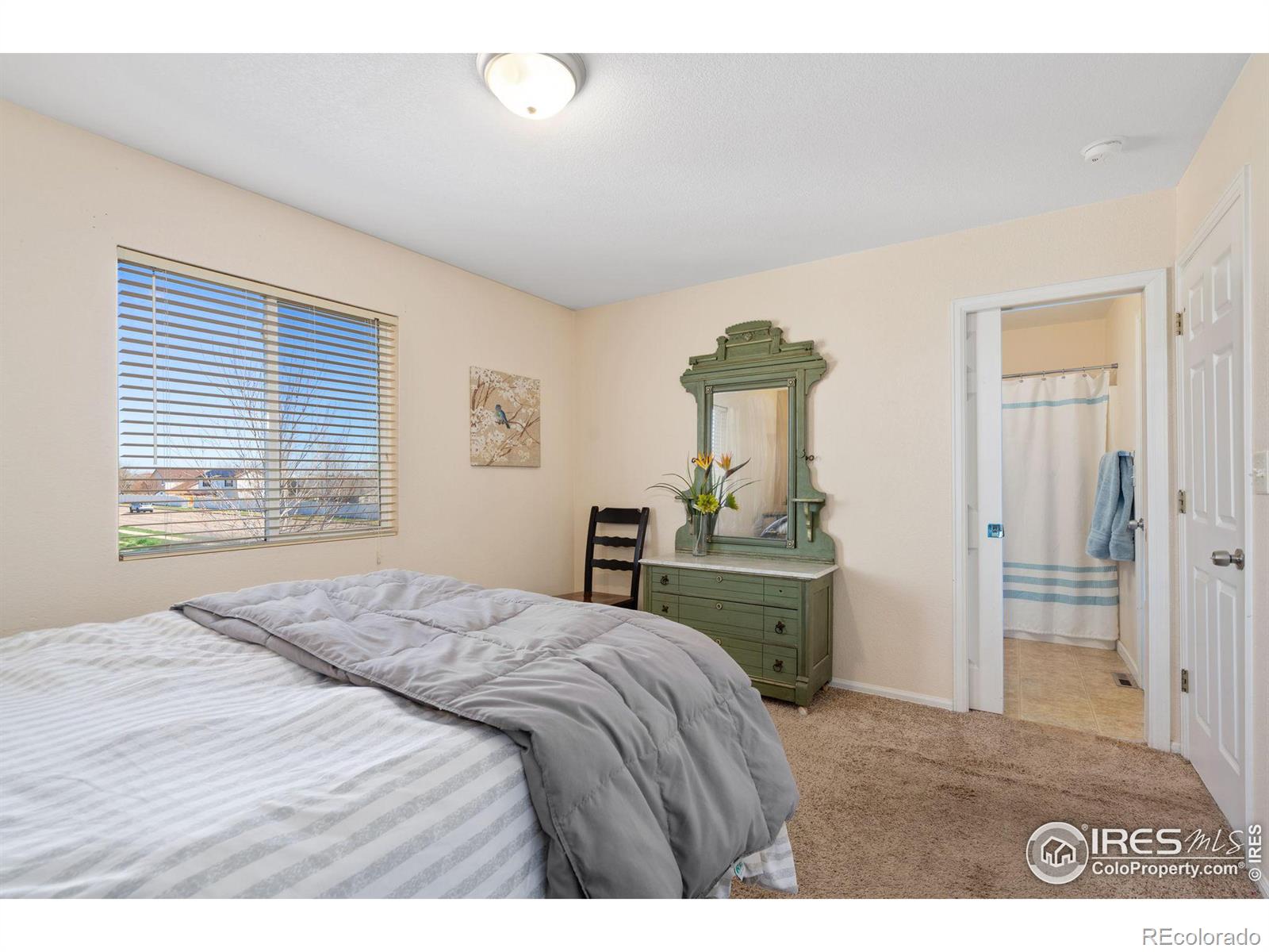 MLS Image #14 for 2901  park view drive,evans, Colorado