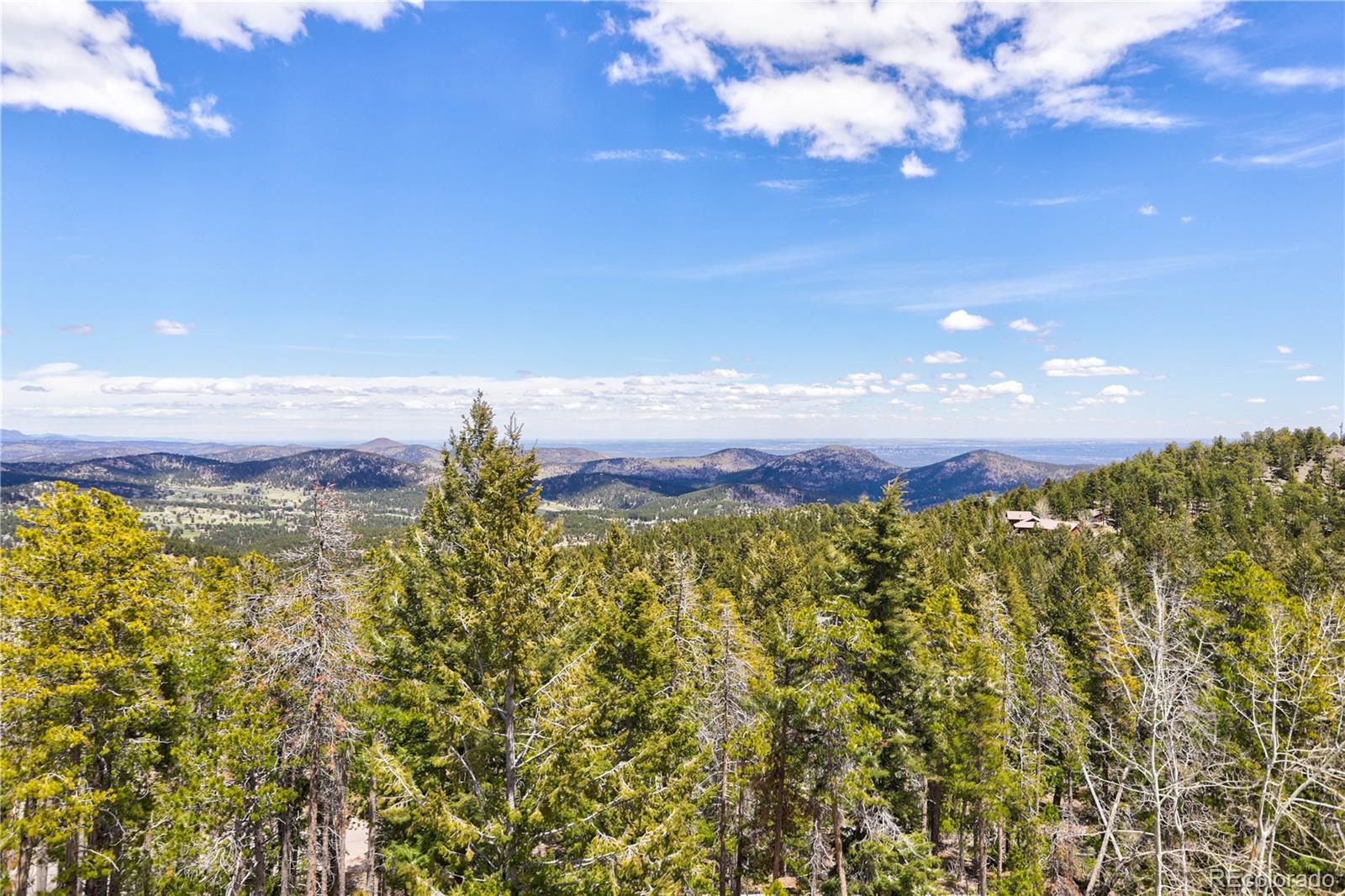 MLS Image #3 for 8384 s doubleheader ranch road,morrison, Colorado