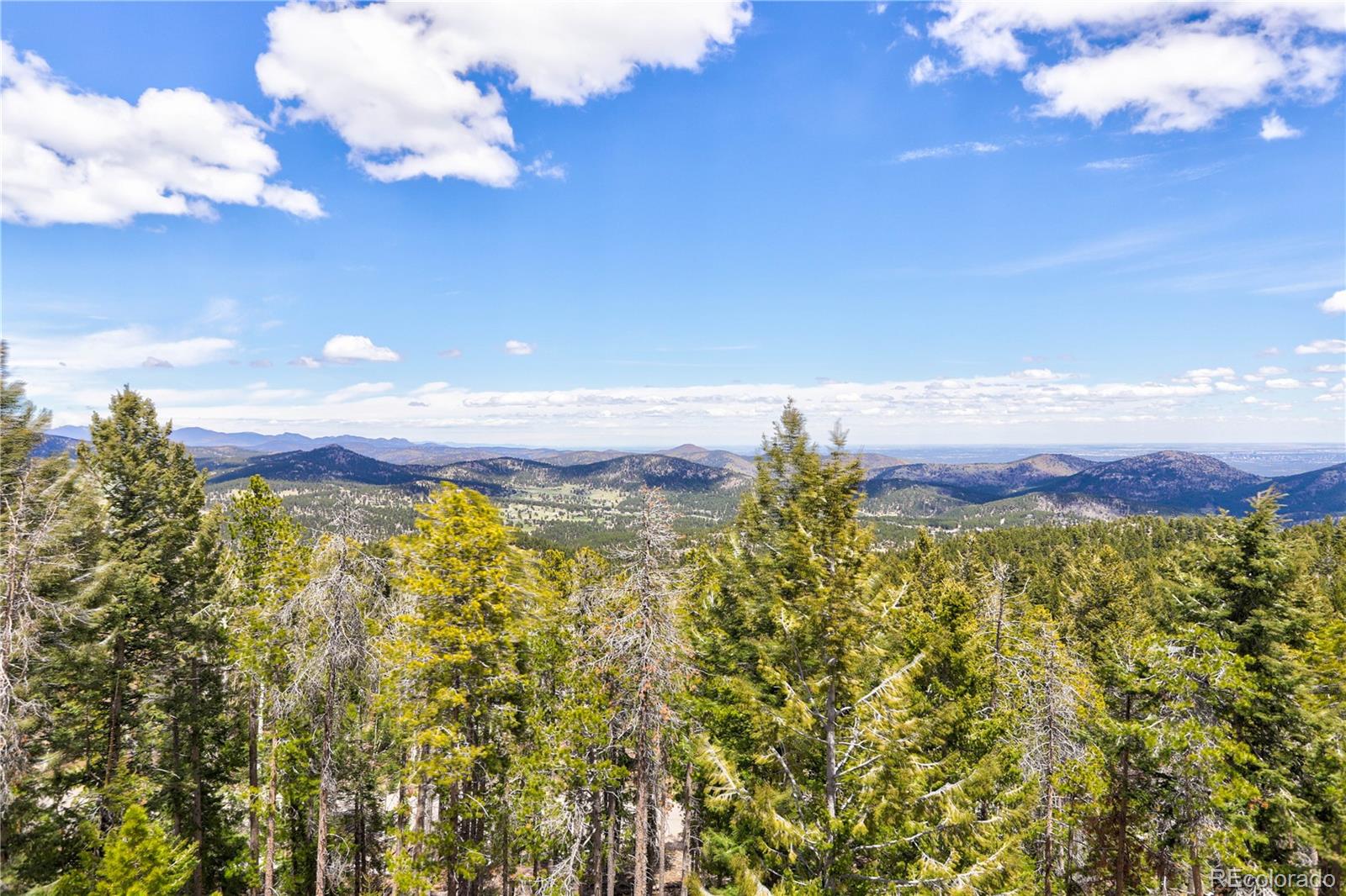 MLS Image #4 for 8384 s doubleheader ranch road,morrison, Colorado