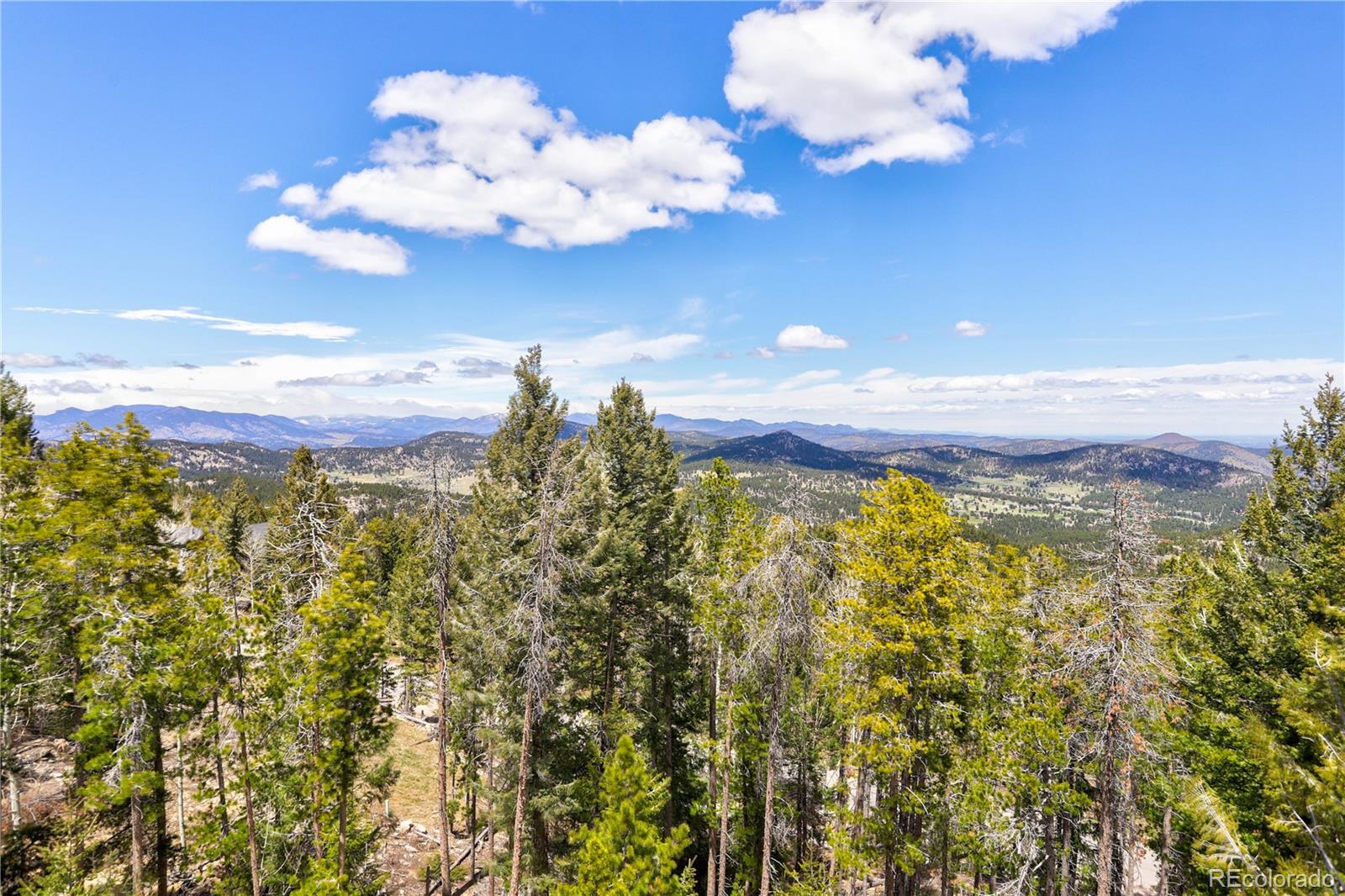 MLS Image #5 for 8384 s doubleheader ranch road,morrison, Colorado