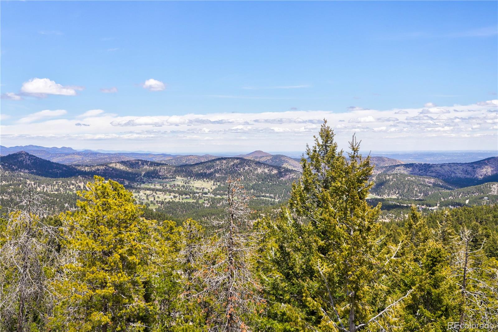 MLS Image #8 for 8384 s doubleheader ranch road,morrison, Colorado
