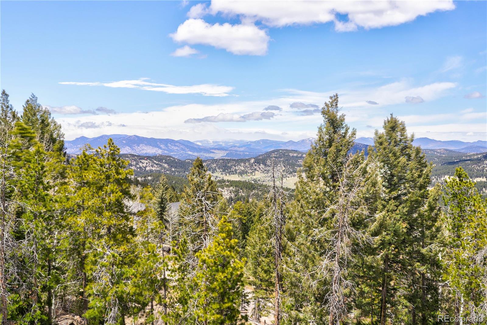 MLS Image #9 for 8384 s doubleheader ranch road,morrison, Colorado