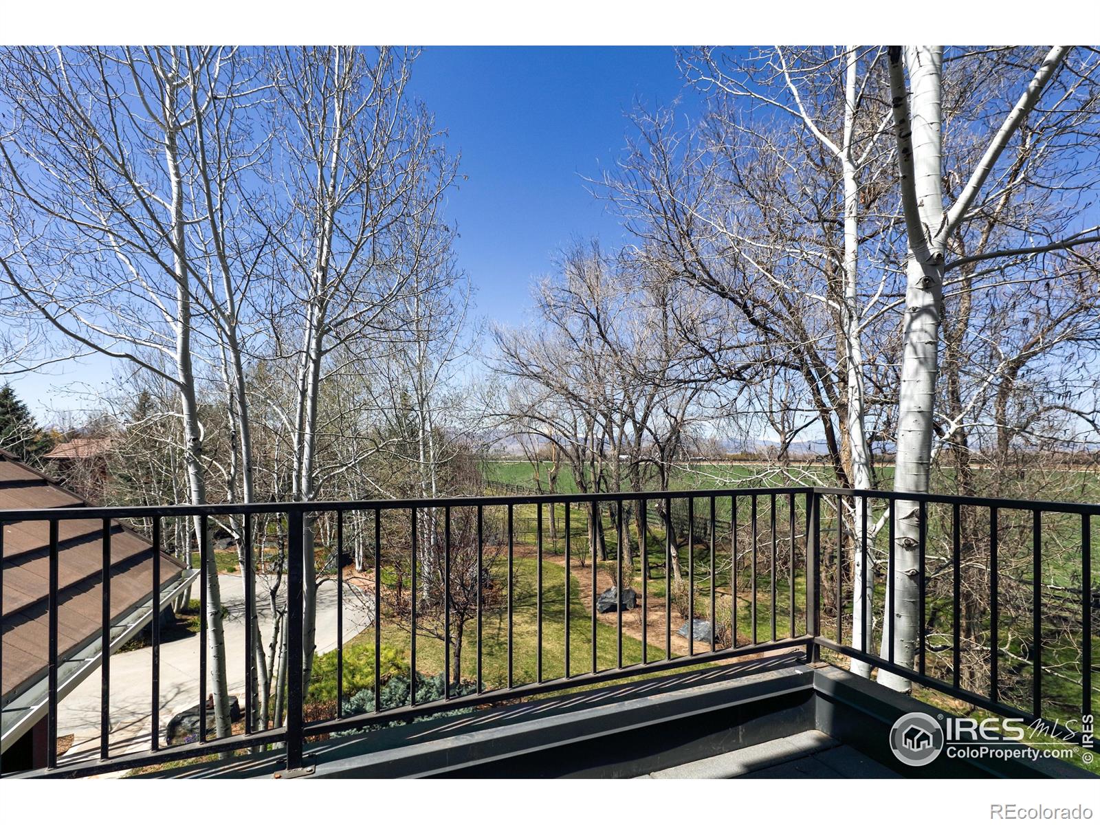 MLS Image #23 for 7357  erin court,niwot, Colorado