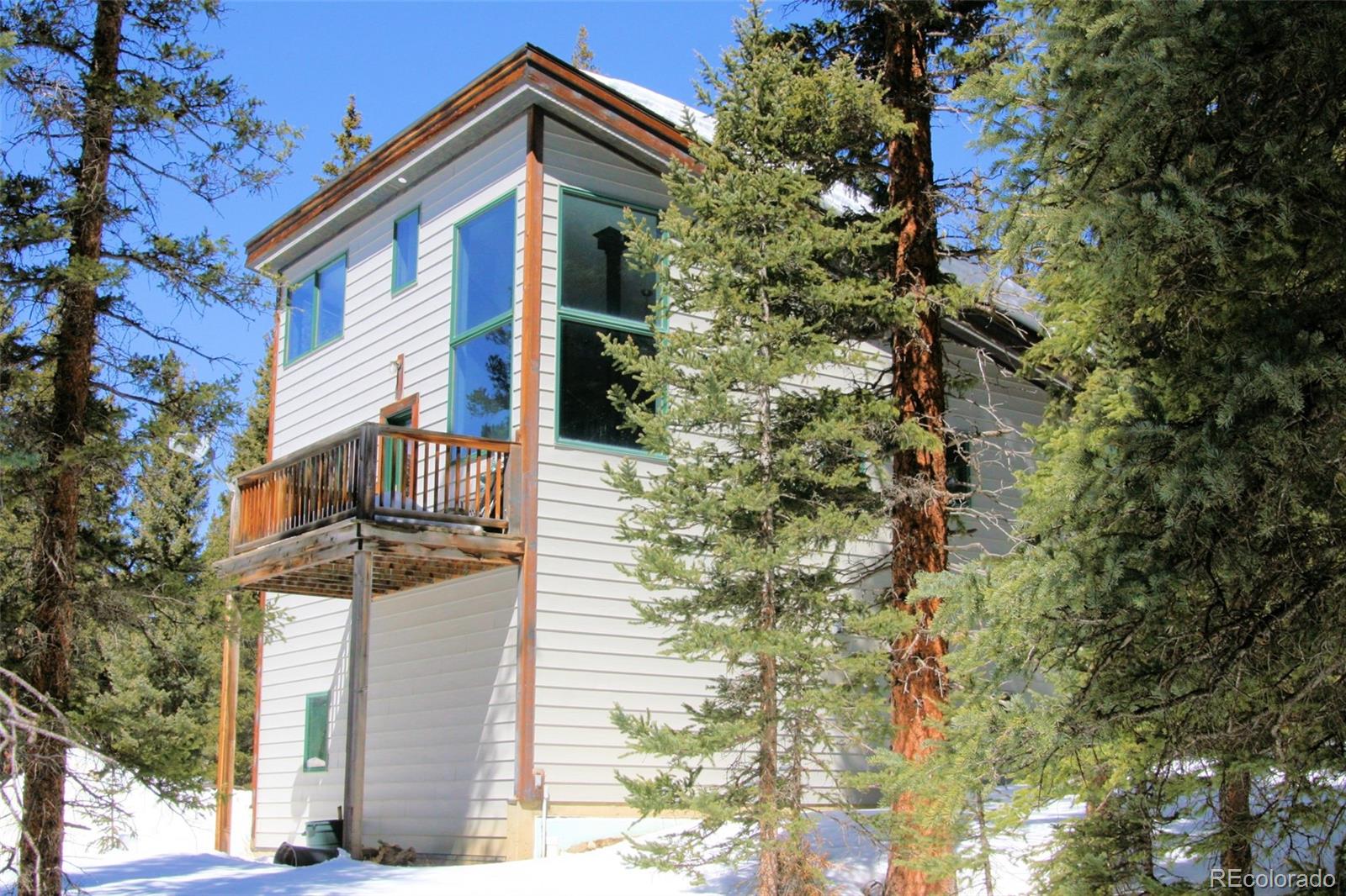 MLS Image #15 for 136  pine cone way,fairplay, Colorado