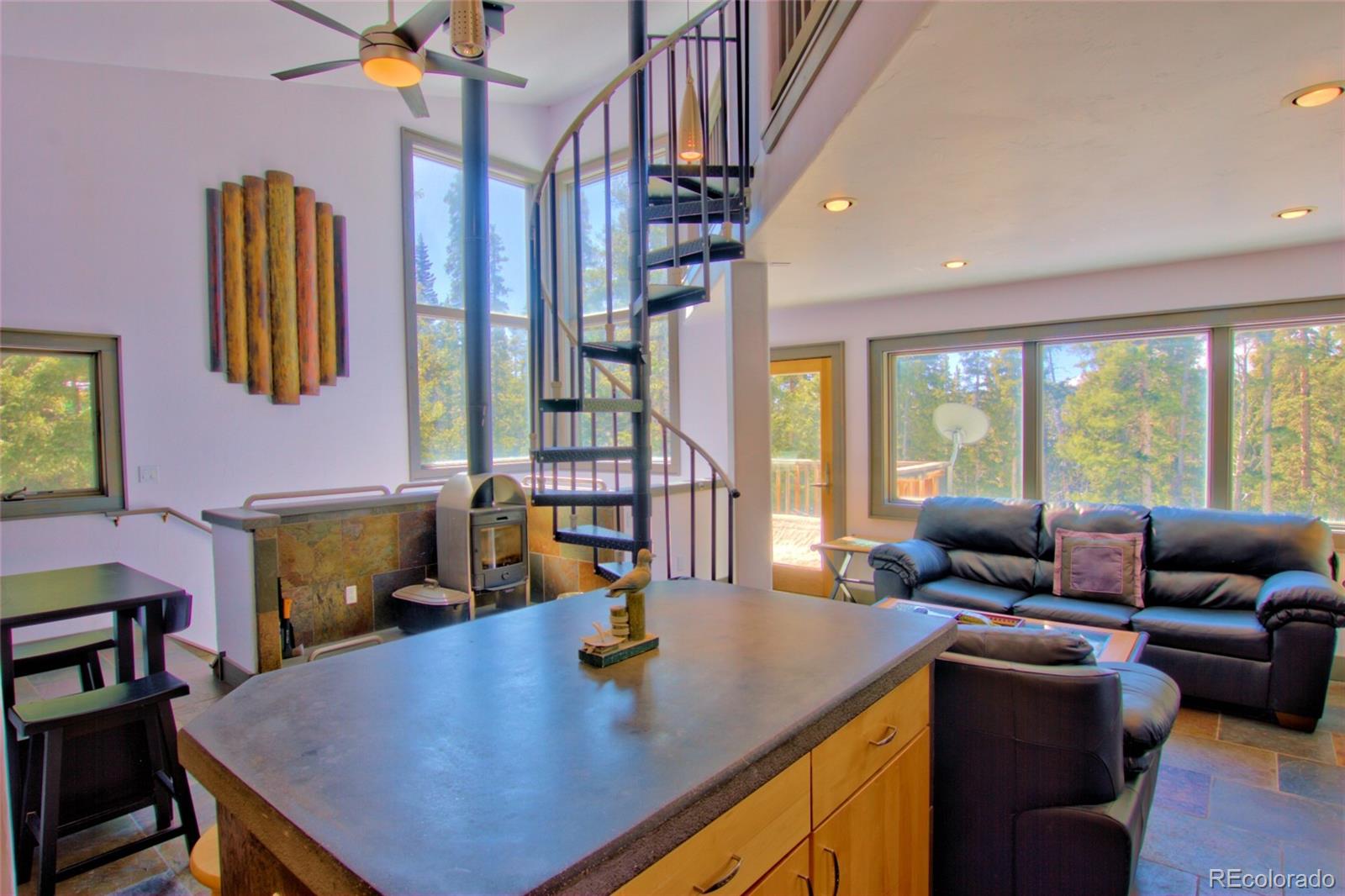 MLS Image #16 for 136  pine cone way,fairplay, Colorado