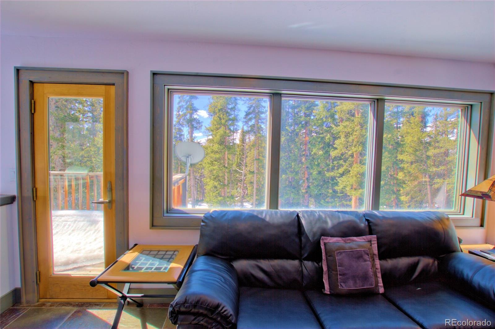 MLS Image #20 for 136  pine cone way,fairplay, Colorado