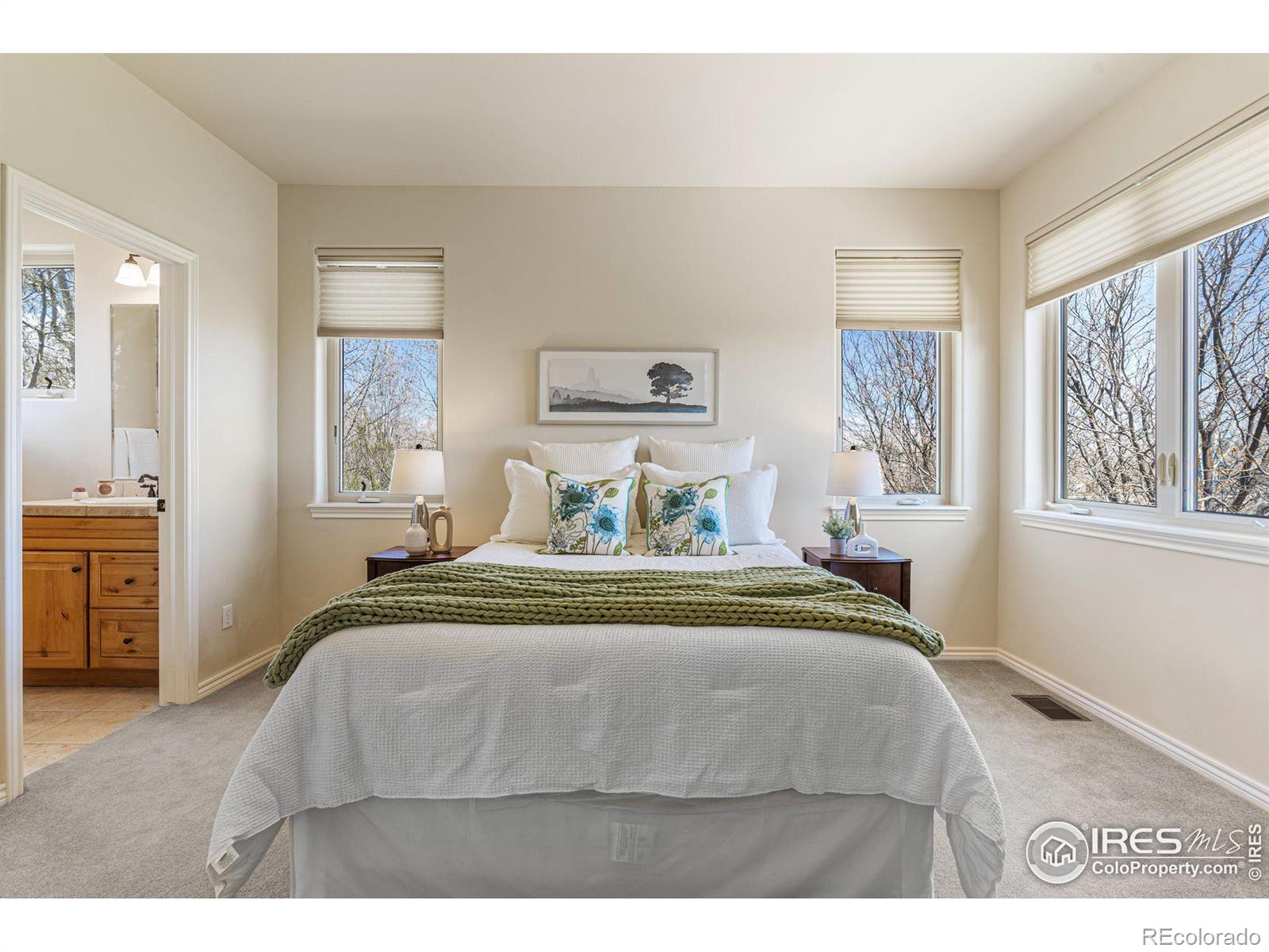 MLS Image #21 for 2112  summerlin drive,longmont, Colorado