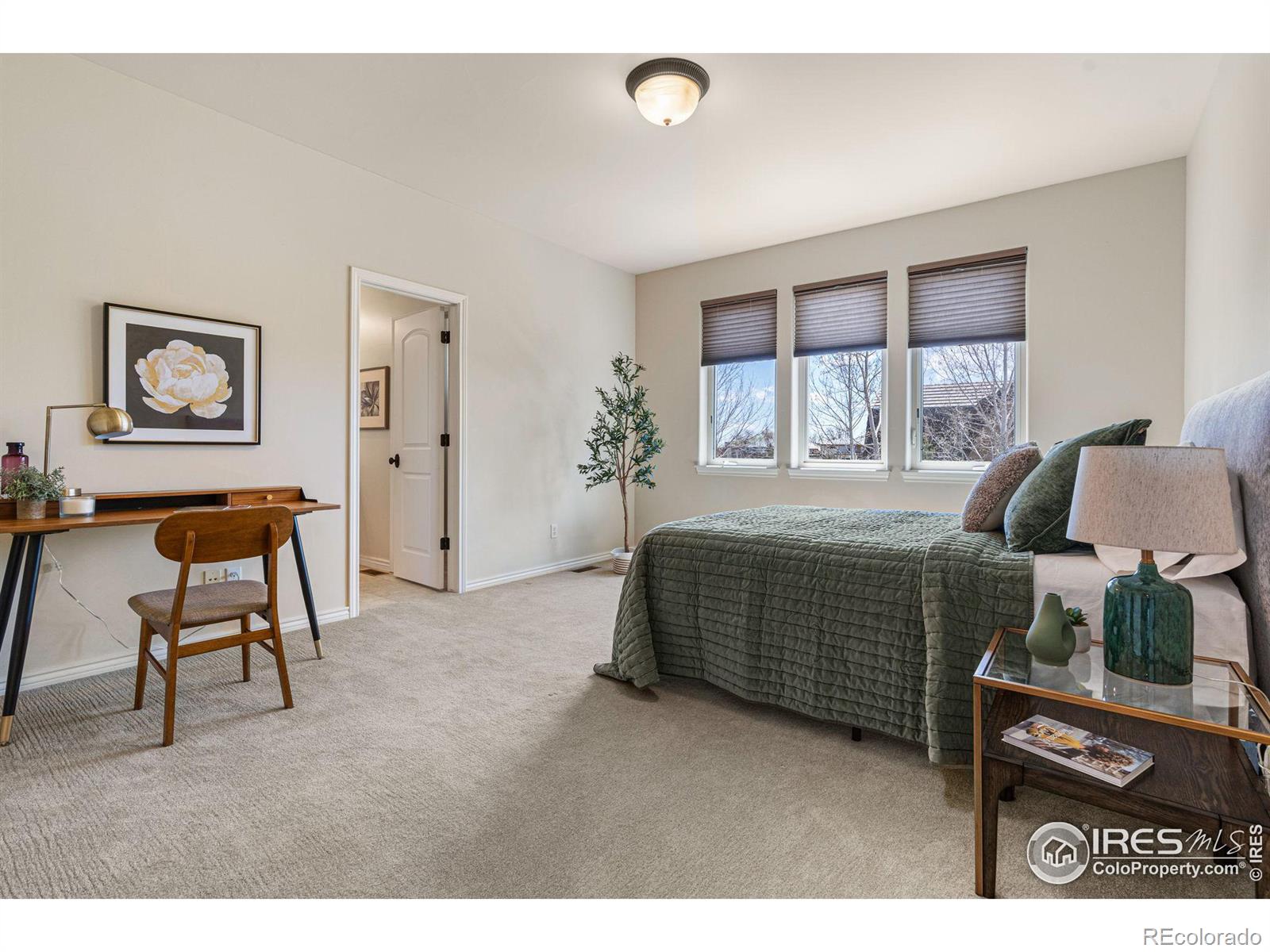 MLS Image #26 for 2112  summerlin drive,longmont, Colorado