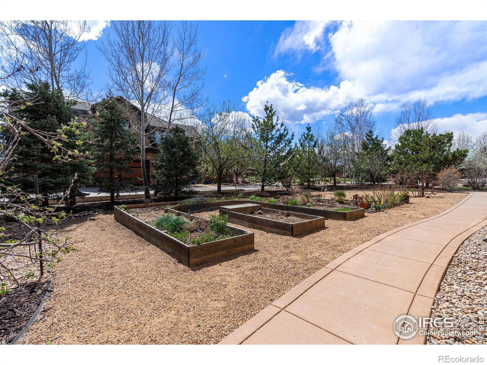 MLS Image #32 for 2112  summerlin drive,longmont, Colorado