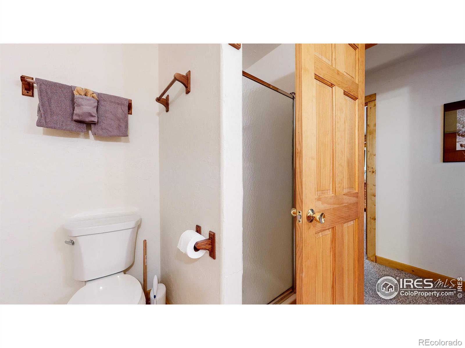 MLS Image #13 for 93  mattapony way,red feather lakes, Colorado