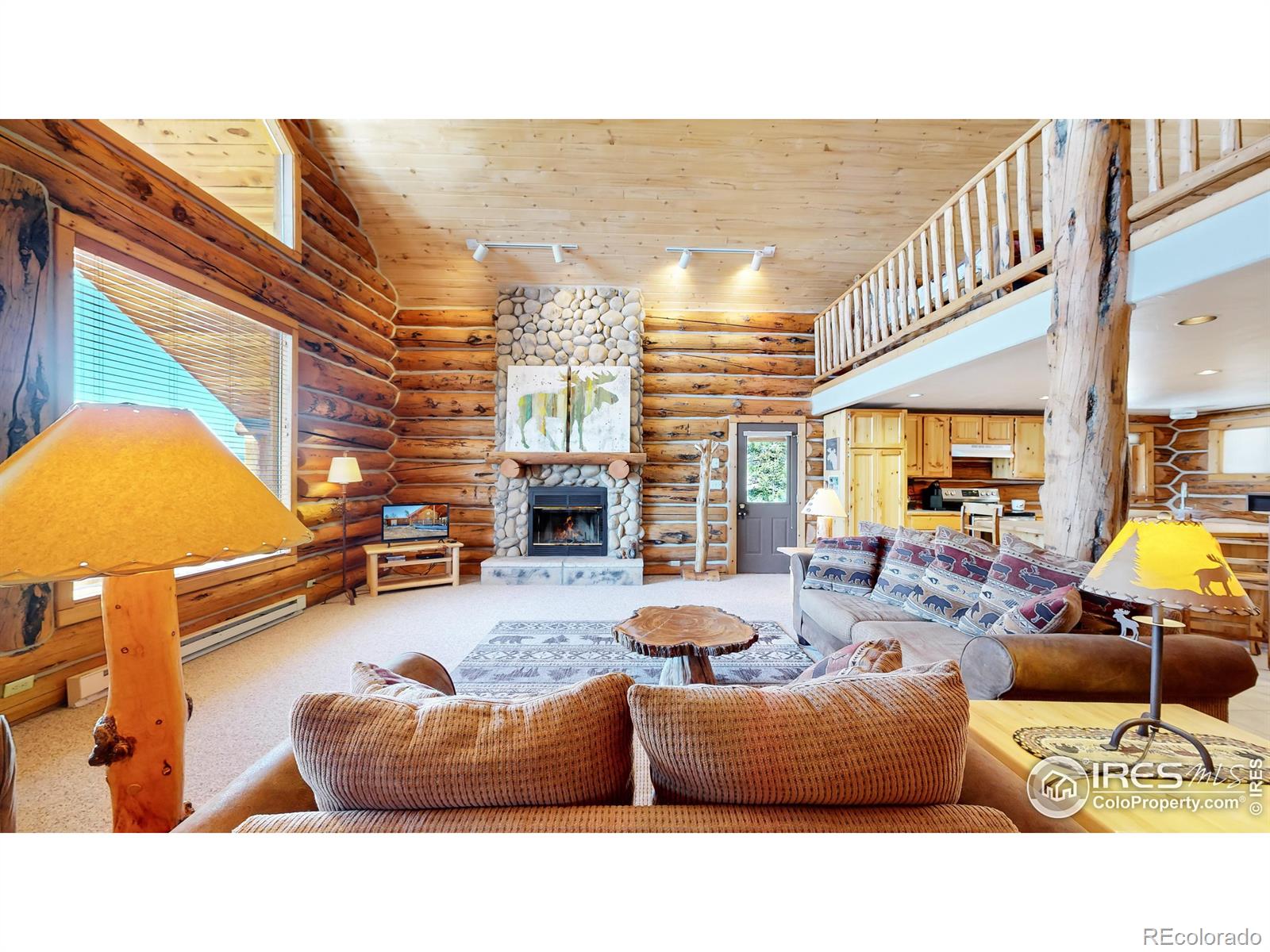 MLS Image #6 for 93  mattapony way,red feather lakes, Colorado