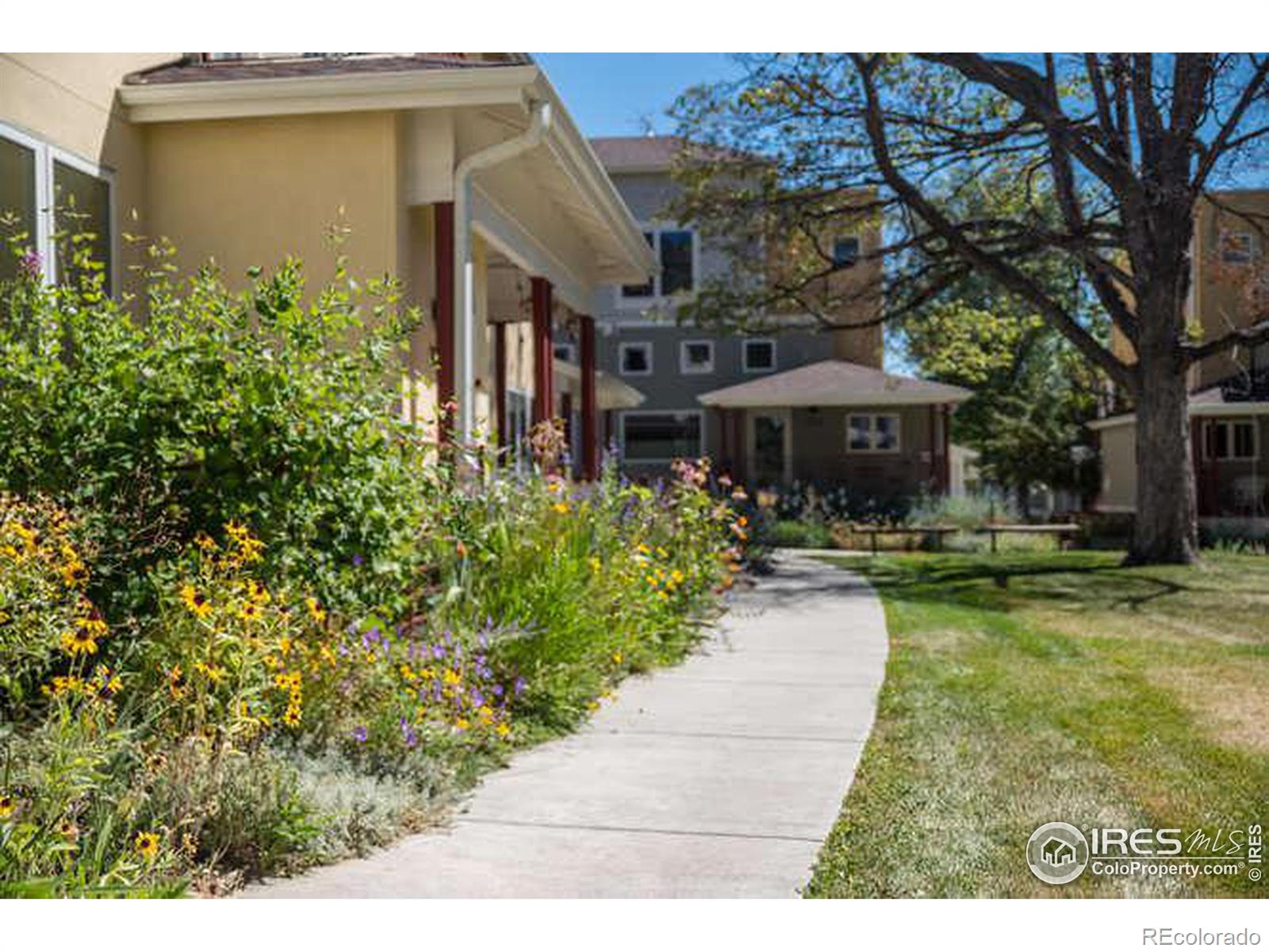 MLS Image #36 for 1215  cedar avenue,boulder, Colorado