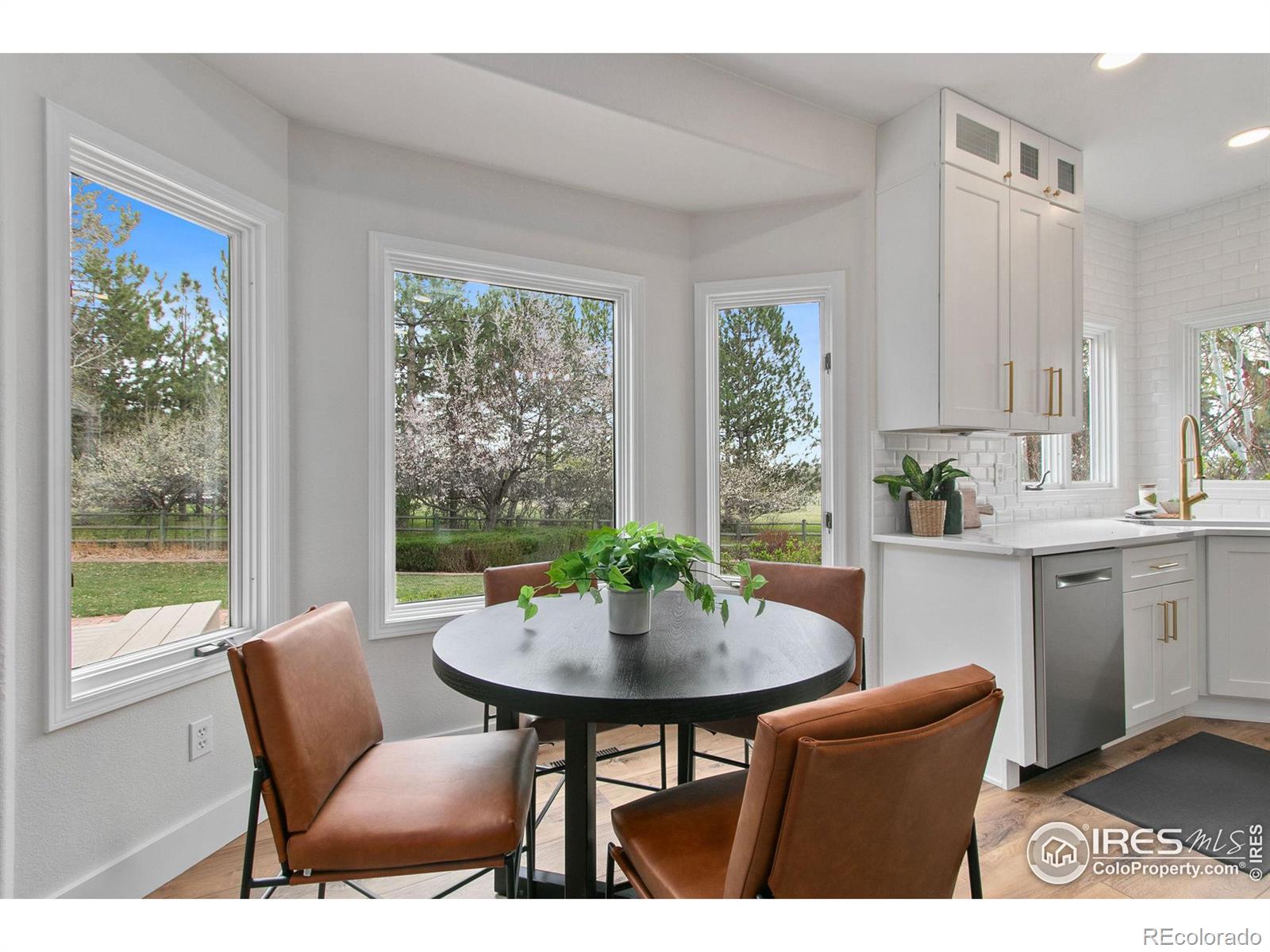 MLS Image #9 for 604  hinsdale court,fort collins, Colorado