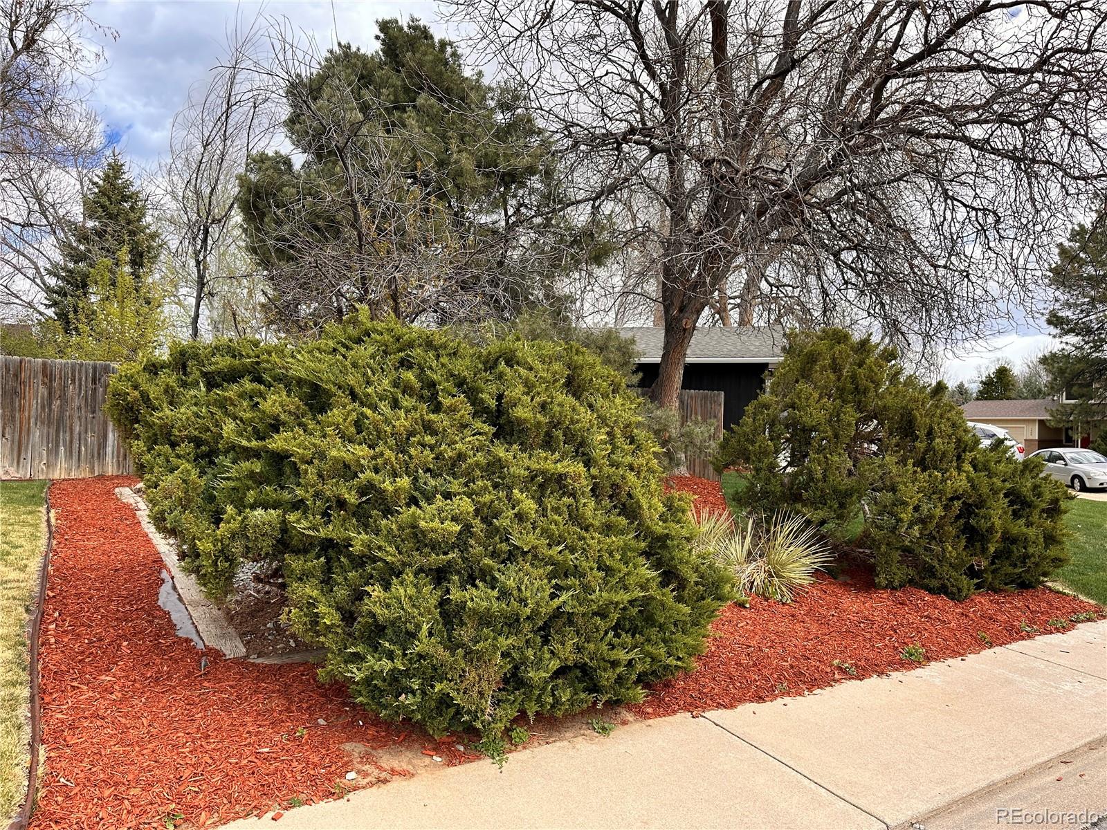 MLS Image #39 for 1403  athene drive,lafayette, Colorado