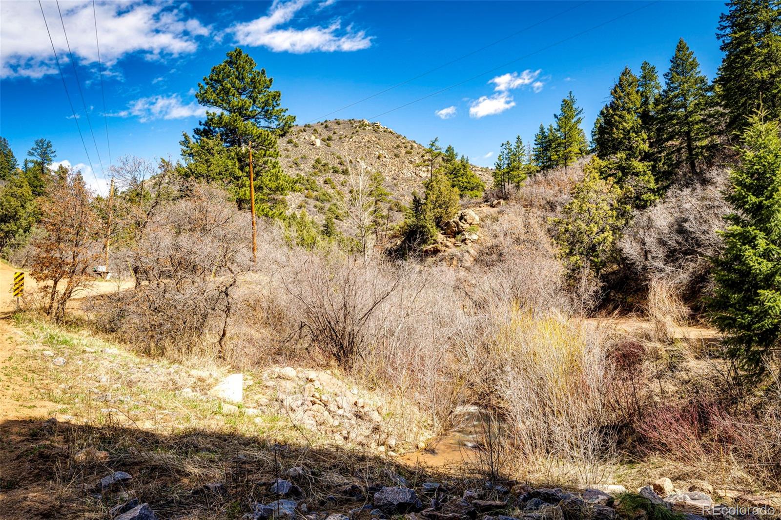 MLS Image #20 for 1908  hidden valley road,sedalia, Colorado