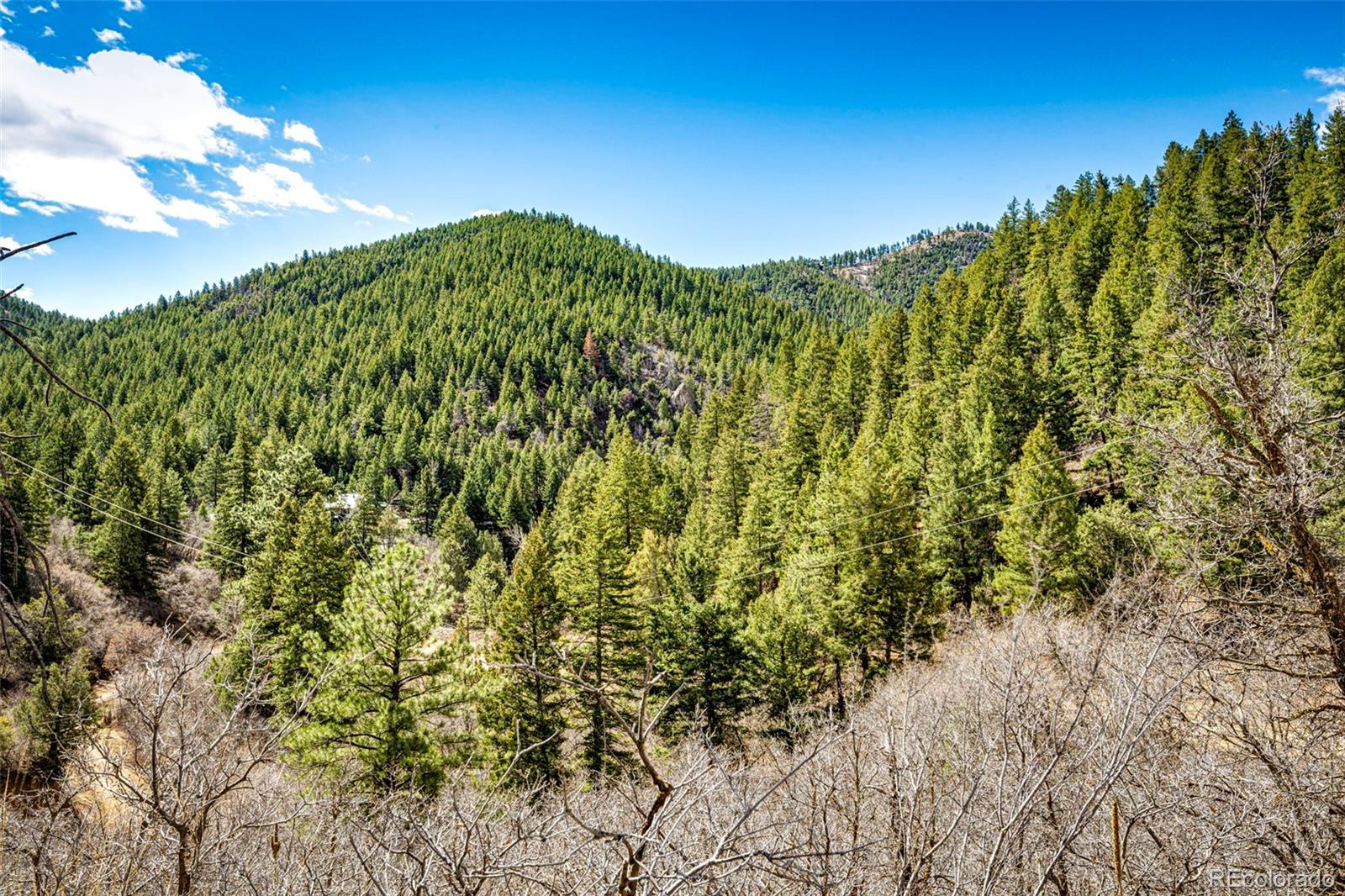 MLS Image #21 for 1908  hidden valley road,sedalia, Colorado