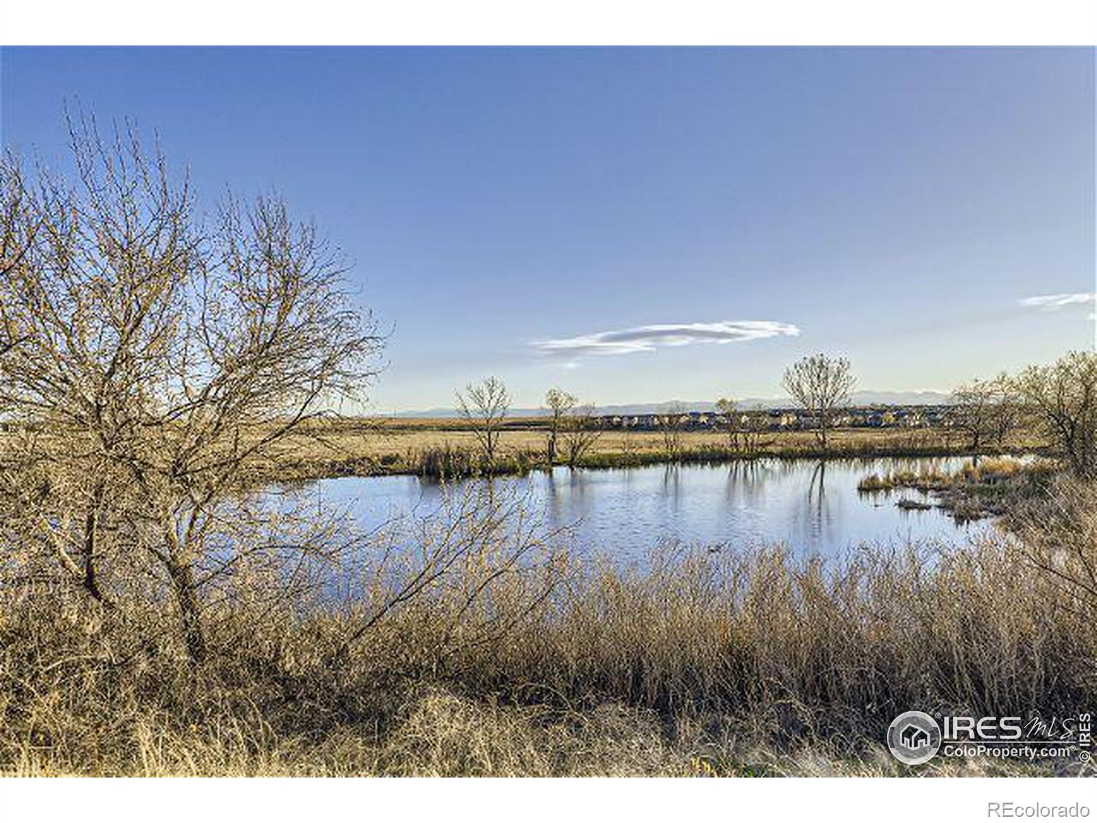 MLS Image #31 for 10257  olathe street,commerce city, Colorado