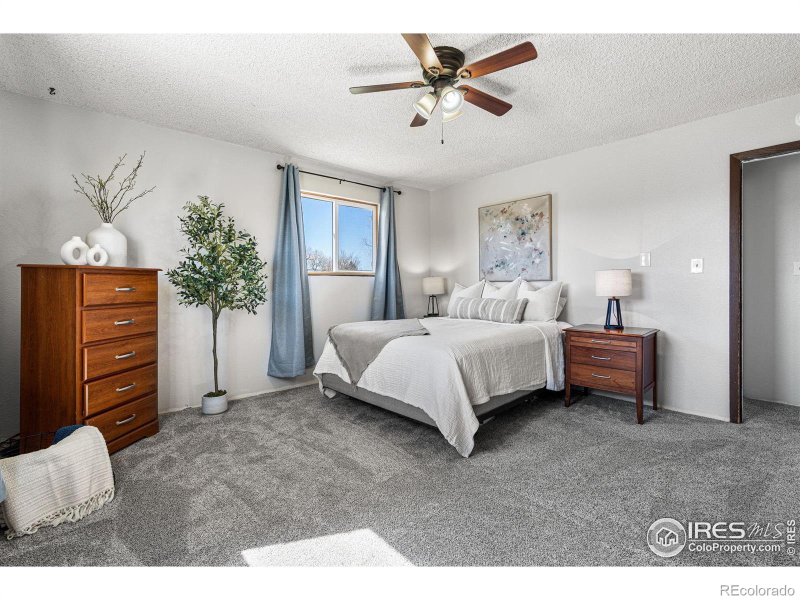 MLS Image #19 for 6323  ephesus road,longmont, Colorado