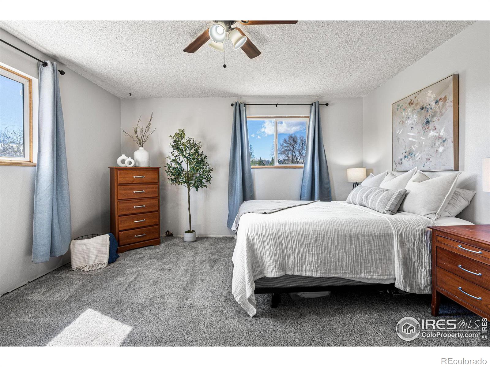 MLS Image #20 for 6323  ephesus road,longmont, Colorado