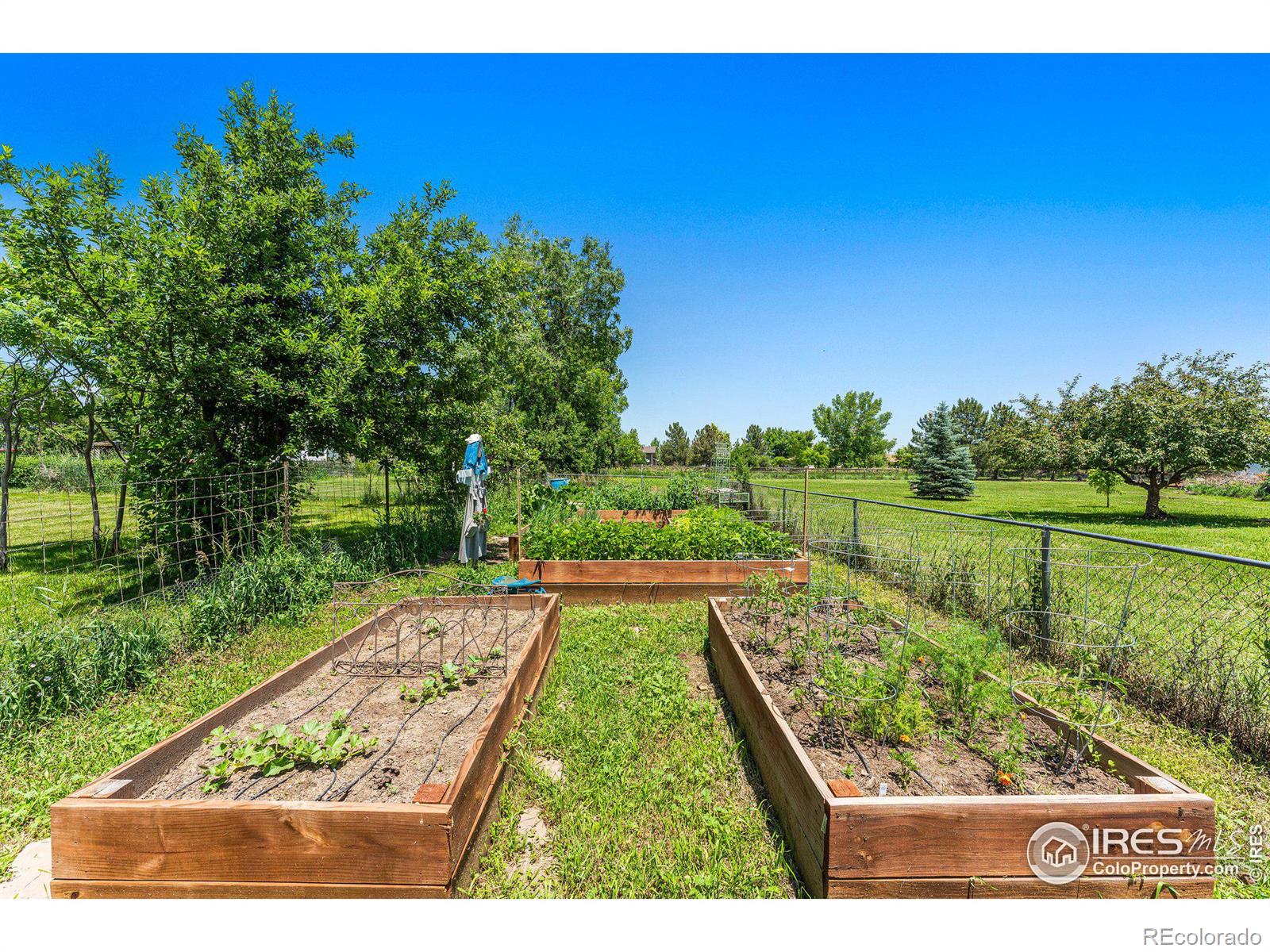 MLS Image #34 for 6323  ephesus road,longmont, Colorado