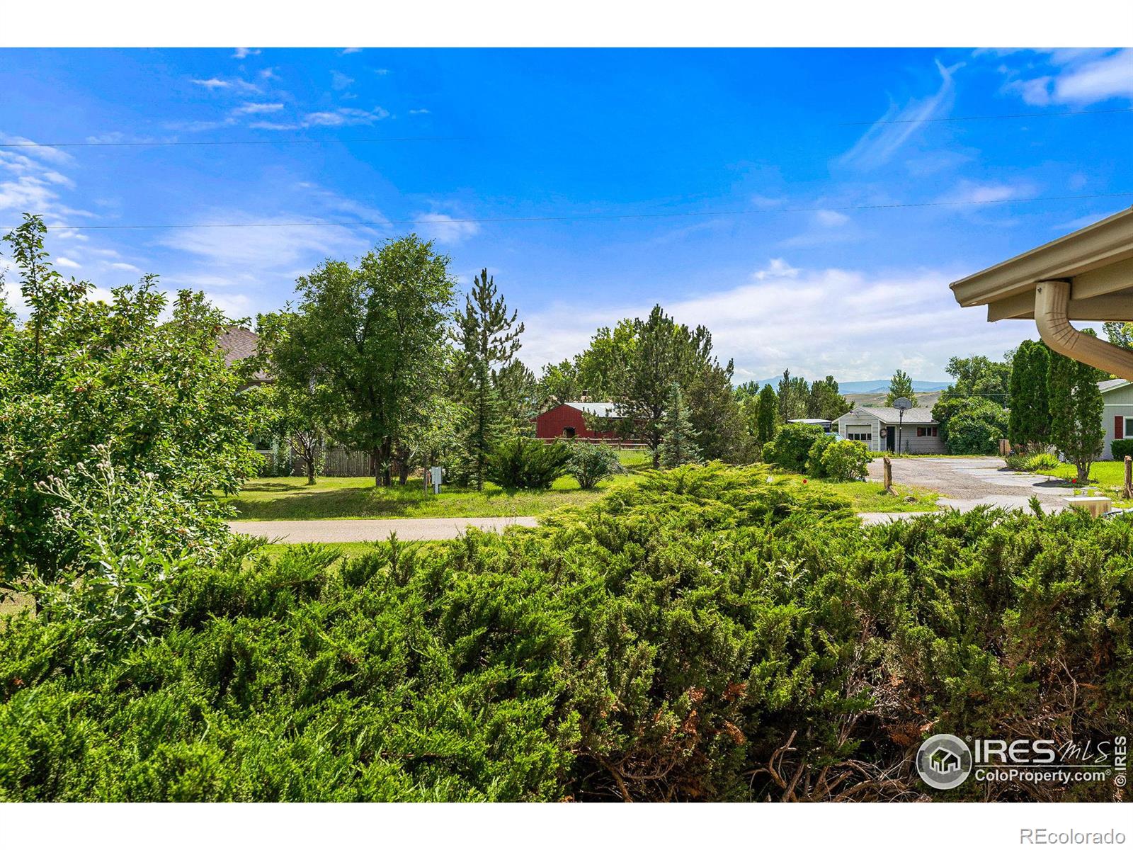 MLS Image #7 for 6323  ephesus road,longmont, Colorado