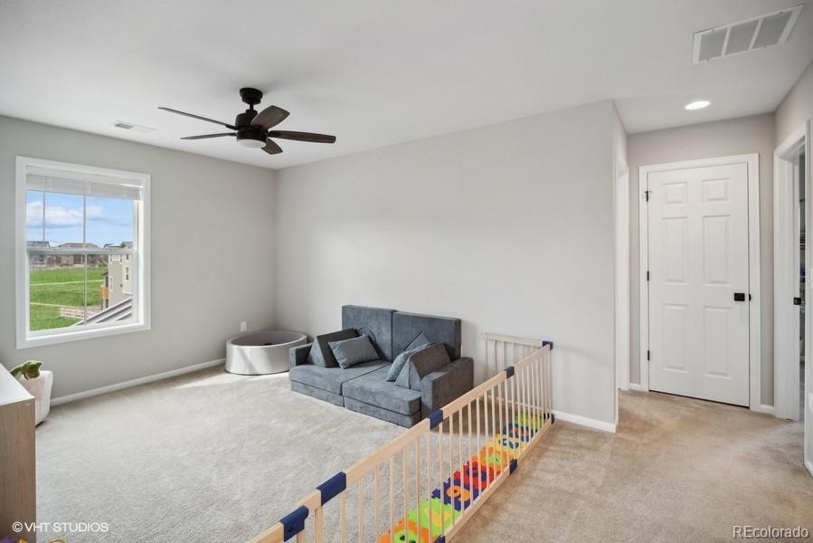 MLS Image #14 for 9134  swan river street,littleton, Colorado