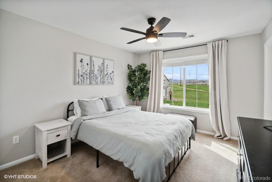 MLS Image #15 for 9134  swan river street,littleton, Colorado