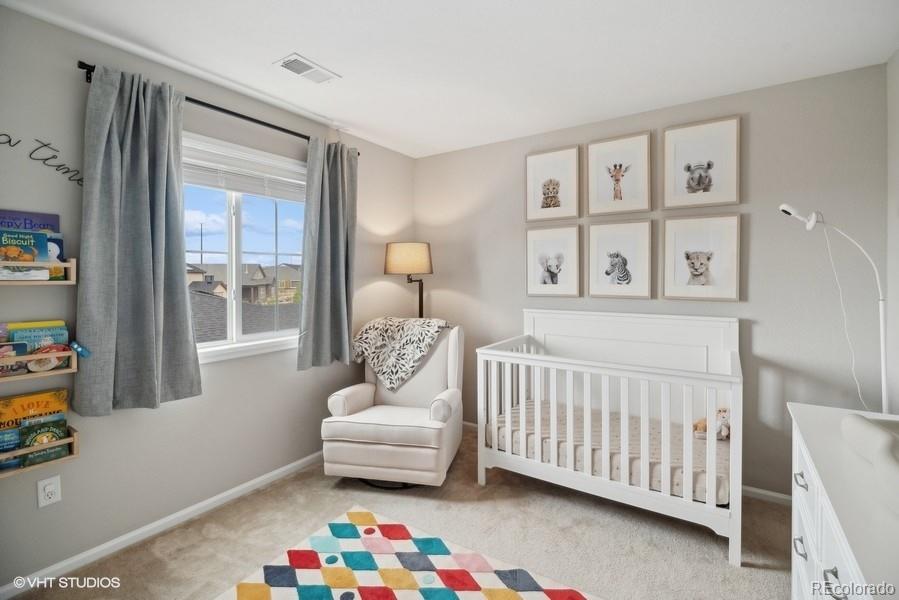 MLS Image #20 for 9134  swan river street,littleton, Colorado