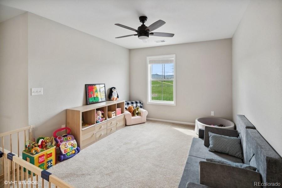 MLS Image #22 for 9134  swan river street,littleton, Colorado