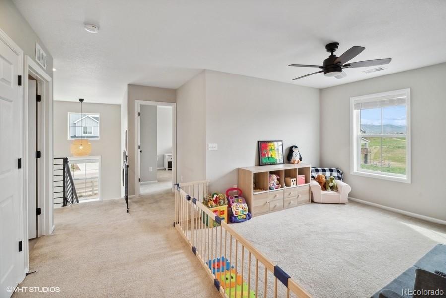 MLS Image #23 for 9134  swan river street,littleton, Colorado