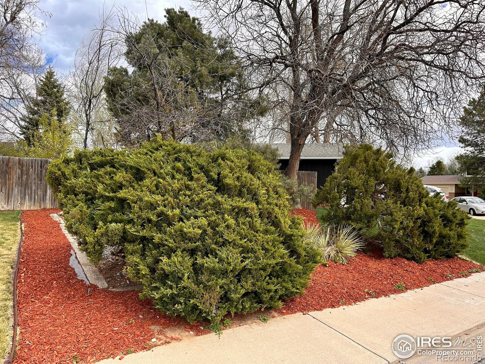 MLS Image #39 for 1403  athene drive,lafayette, Colorado