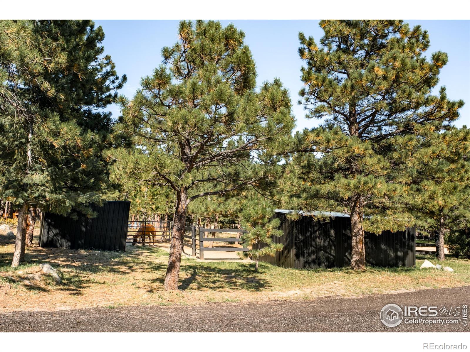 MLS Image #37 for 127  wild tiger road,boulder, Colorado