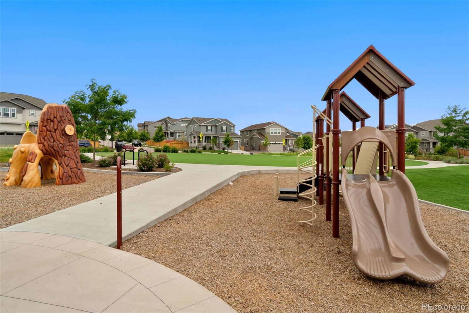 MLS Image #44 for 3259  greenery drive,castle rock, Colorado