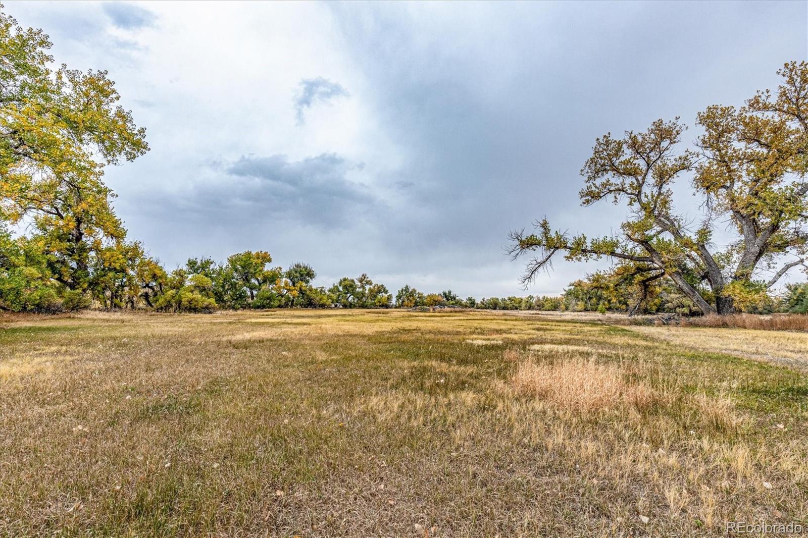 MLS Image #47 for 6550  county road 194 ,elizabeth, Colorado