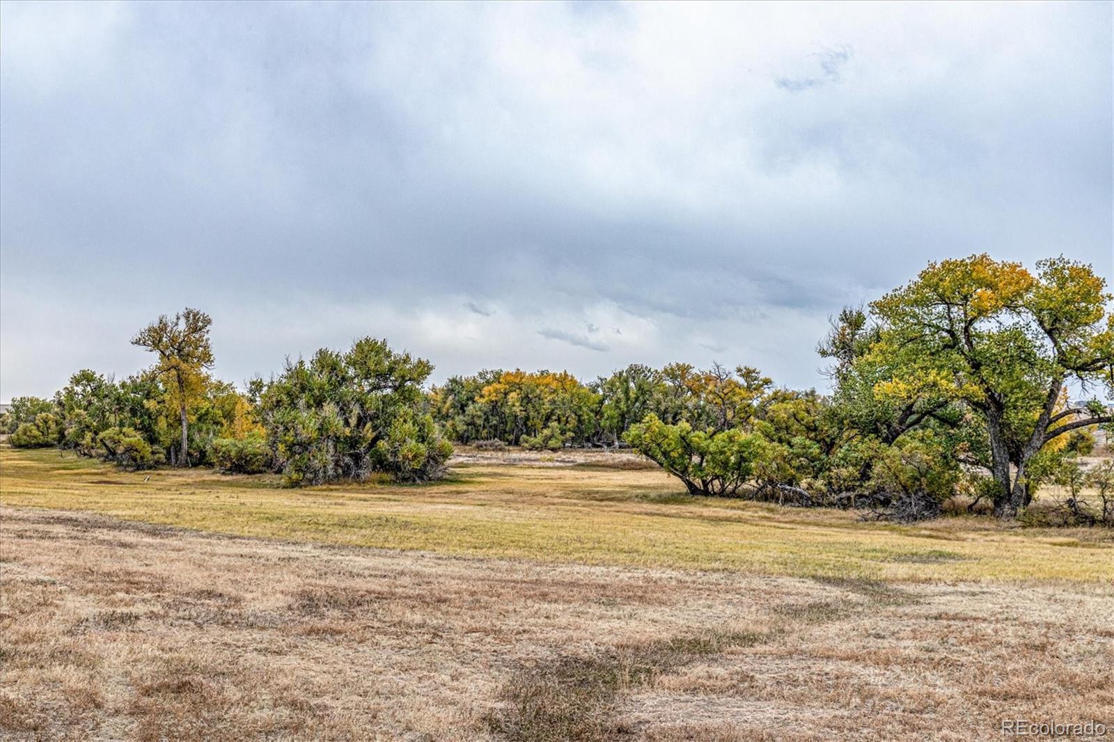 MLS Image #48 for 6550  county road 194 ,elizabeth, Colorado