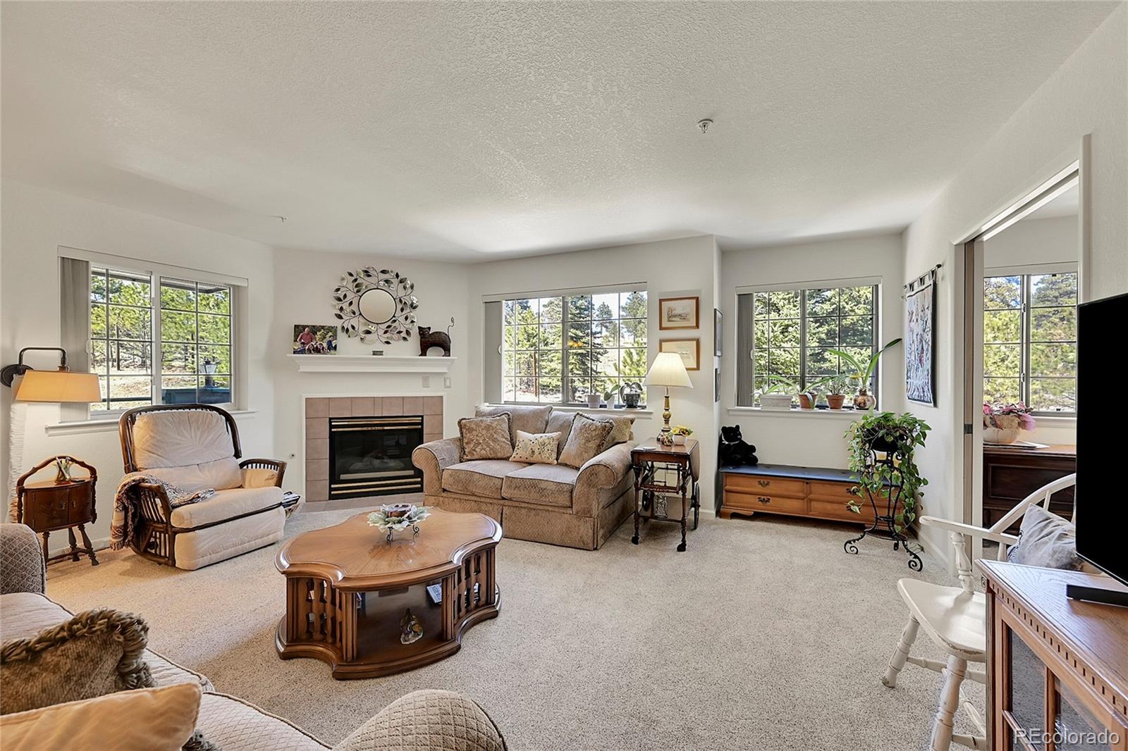 MLS Image #8 for 31719  rocky village drive,evergreen, Colorado