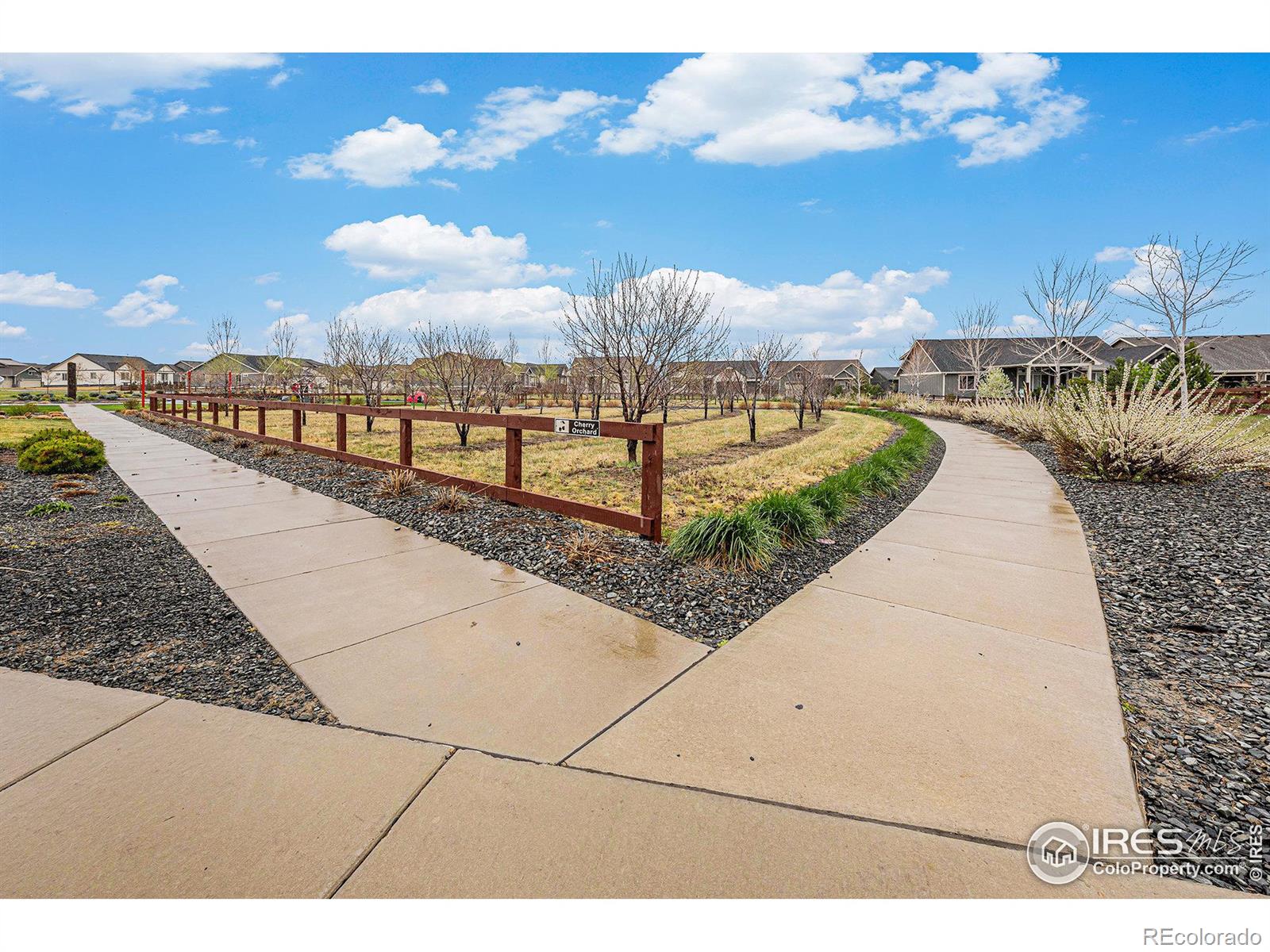 MLS Image #31 for 1509  heirloom drive,windsor, Colorado