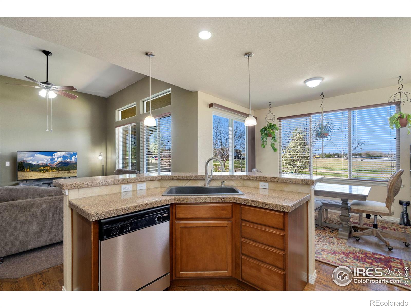 MLS Image #13 for 4607  pompano drive,windsor, Colorado