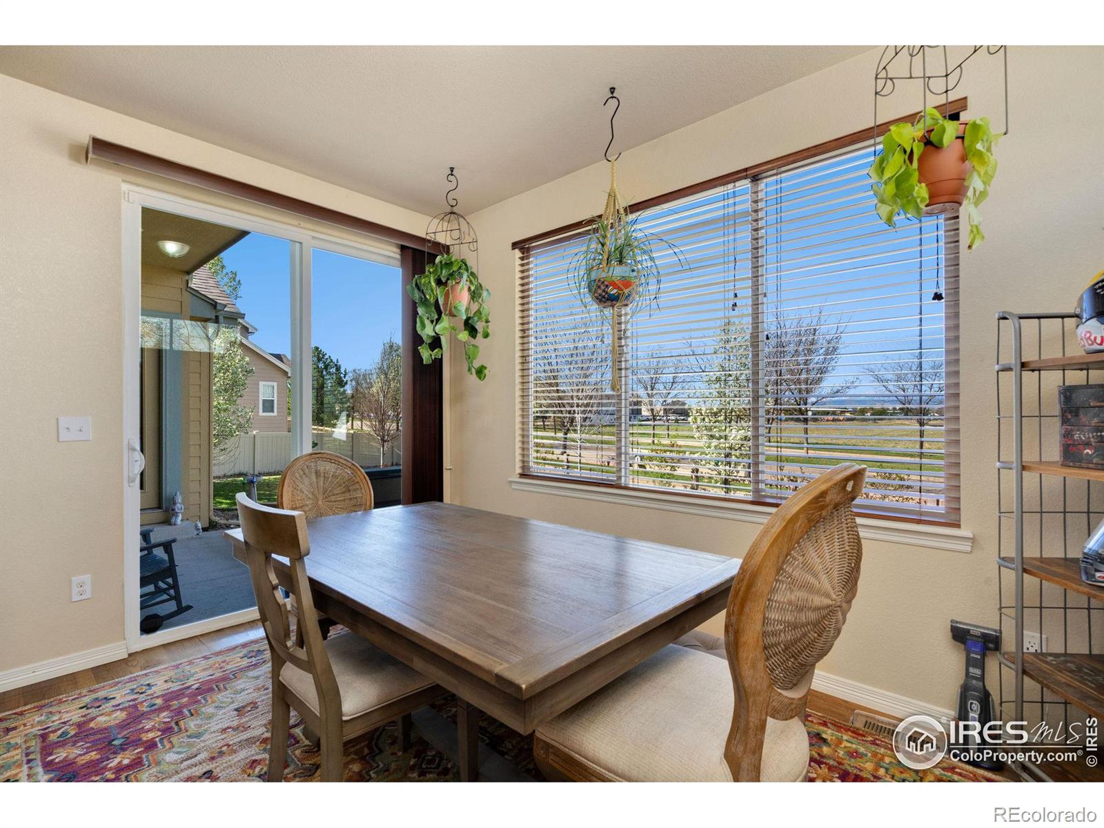 MLS Image #14 for 4607  pompano drive,windsor, Colorado