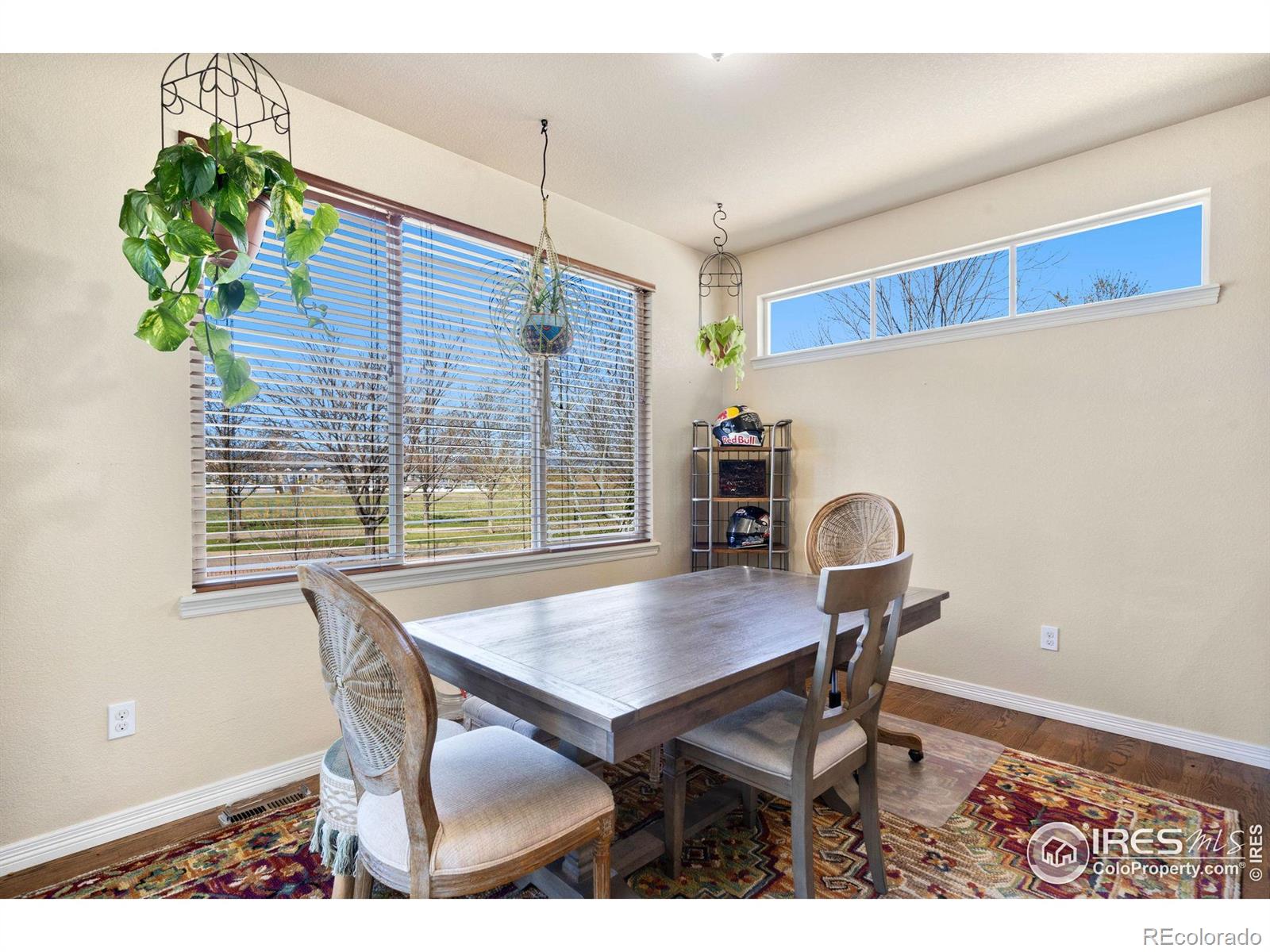 MLS Image #15 for 4607  pompano drive,windsor, Colorado