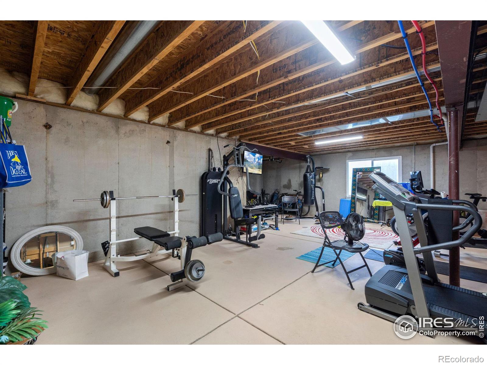 MLS Image #28 for 4607  pompano drive,windsor, Colorado