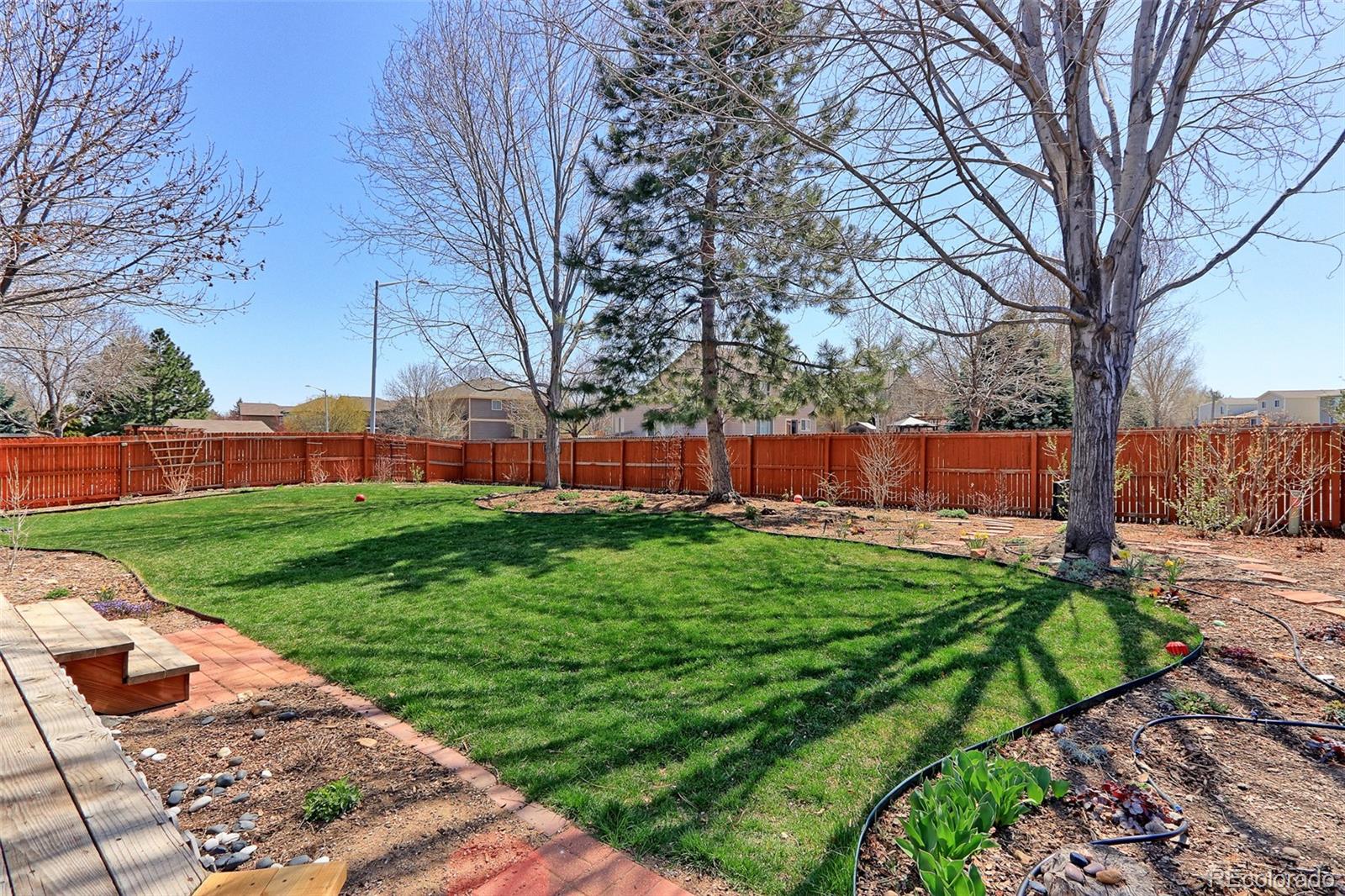 MLS Image #28 for 1423  morningside drive,longmont, Colorado