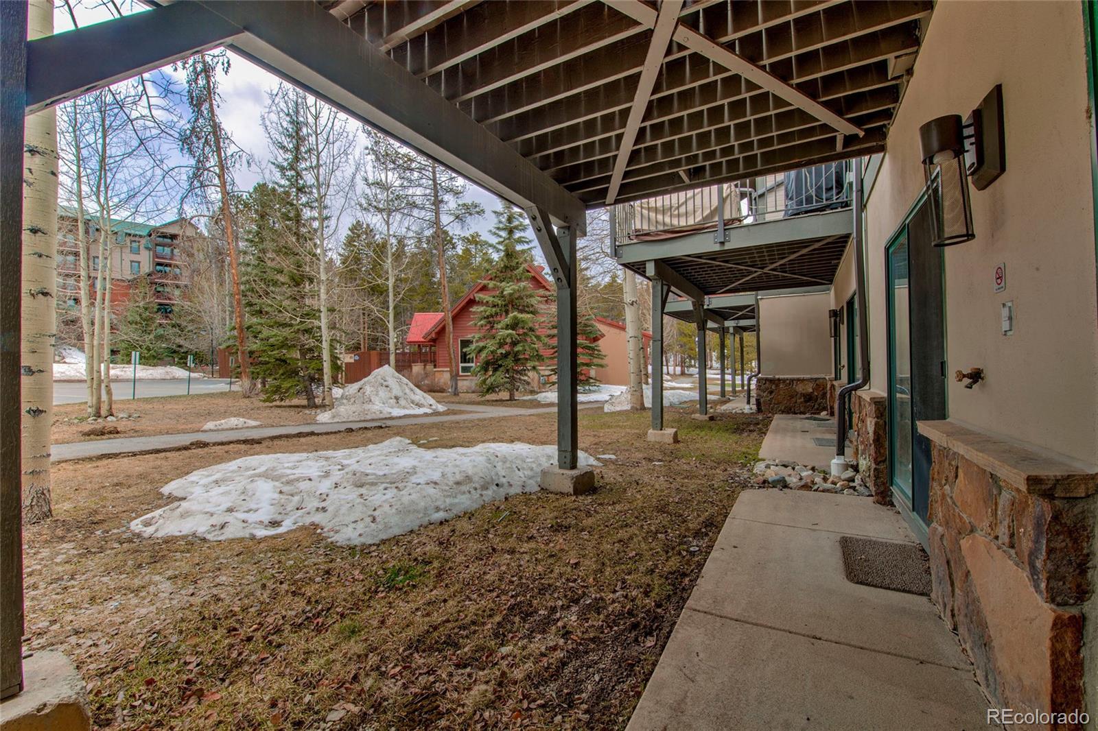 MLS Image #10 for 315 s park avenue,breckenridge, Colorado