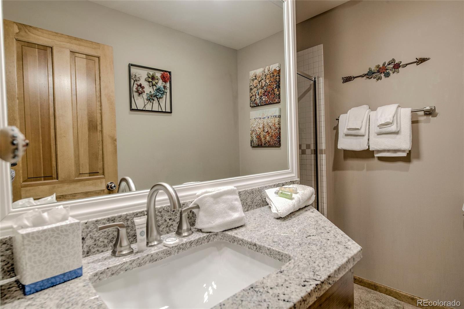 MLS Image #24 for 315 s park avenue,breckenridge, Colorado